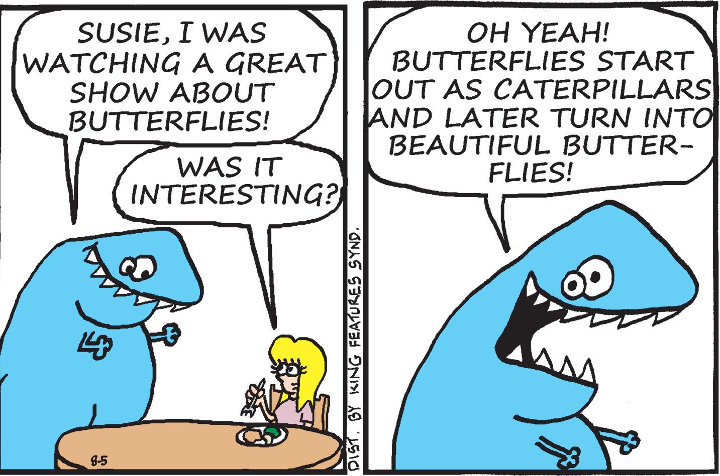 Line OCR: SUSIEI WAS WATCHING A GREAT SHOW ABOUT BUTTERFLIES! 8-5 WAS IT INTERESTING? DISTBY KING FEATURES SYND. OH YEAH! BUTTERFLIES START OUT AS CATERPILLARS AND LATER TURN INTO BEAUTIFUL BUTTER- FLIES! AM SUSIEI WAS WATCHING A GREAT SHOW ABOUT BUTTERFLIES ! 8-5 WAS IT INTERESTING ? DISTBY KING FEATURES SYND . OH YEAH ! BUTTERFLIES START OUT AS CATERPILLARS AND LATER TURN INTO BEAUTIFUL BUTTER FLIES ! AM