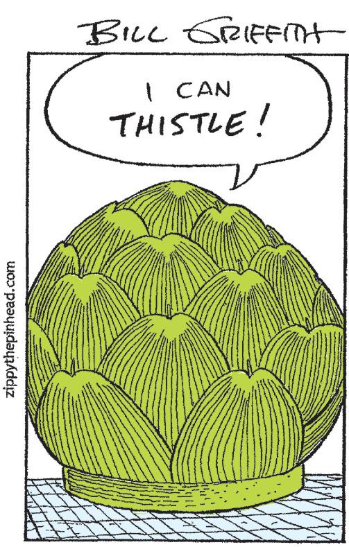 Illustration OCR: zippythepinhead.com BILL GRIFFITH I CAN THISTLE! zippythepinhead.com BILL GRIFFITH I CAN THISTLE !
