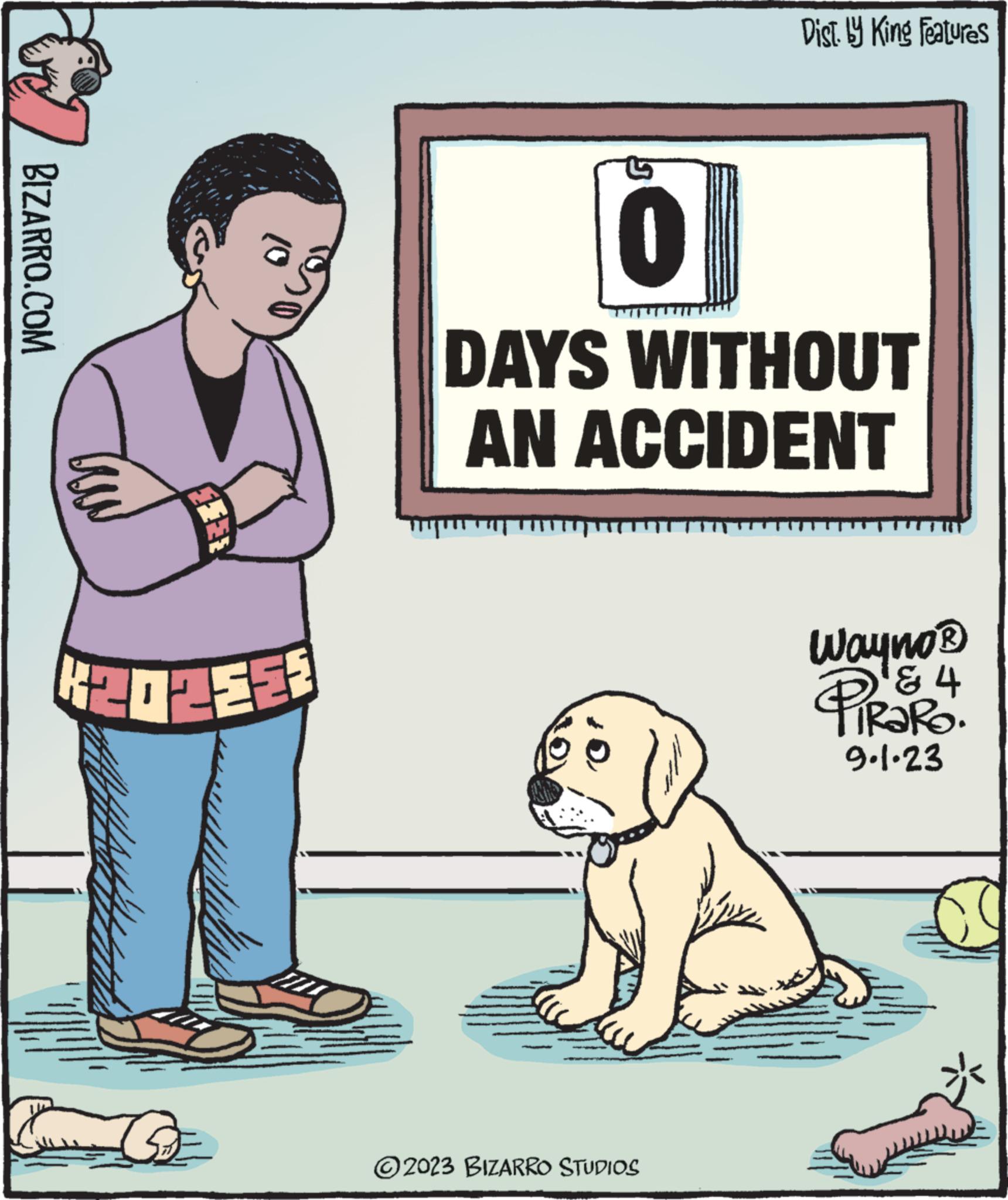Illustration OCR: BIZARRO.COM G 10 Dist. by King Features 0 DAYS WITHOUT AN ACCIDENT ?2023 BIZARRO STUDIOS Wayno ? & 4 TRARO. 9.1.23 BIZARRO.COM G 10 Dist . by King Features 0 DAYS WITHOUT AN ACCIDENT ?2023 BIZARRO STUDIOS Wayno ? & 4 TRARO . 9.1.23