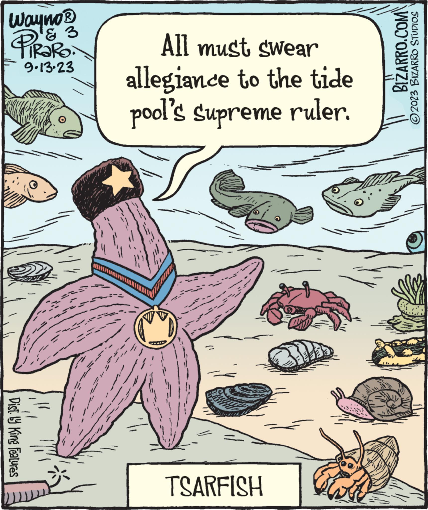 Internet meme OCR: Wayno ? PiRaRo- & 3 9.13.23 Dist. Hy King Features All must swear allegiance to the tide pool's supreme ruler. in TSARFISH BIZARRO.COM ?2023 BIZARRO STUDIOS Wayno ? PiRaRo & 3 9.13.23 Dist . Hy King Features All must swear allegiance to the tide pool's supreme ruler . in TSARFISH BIZARRO.COM ?2023 BIZARRO STUDIOS