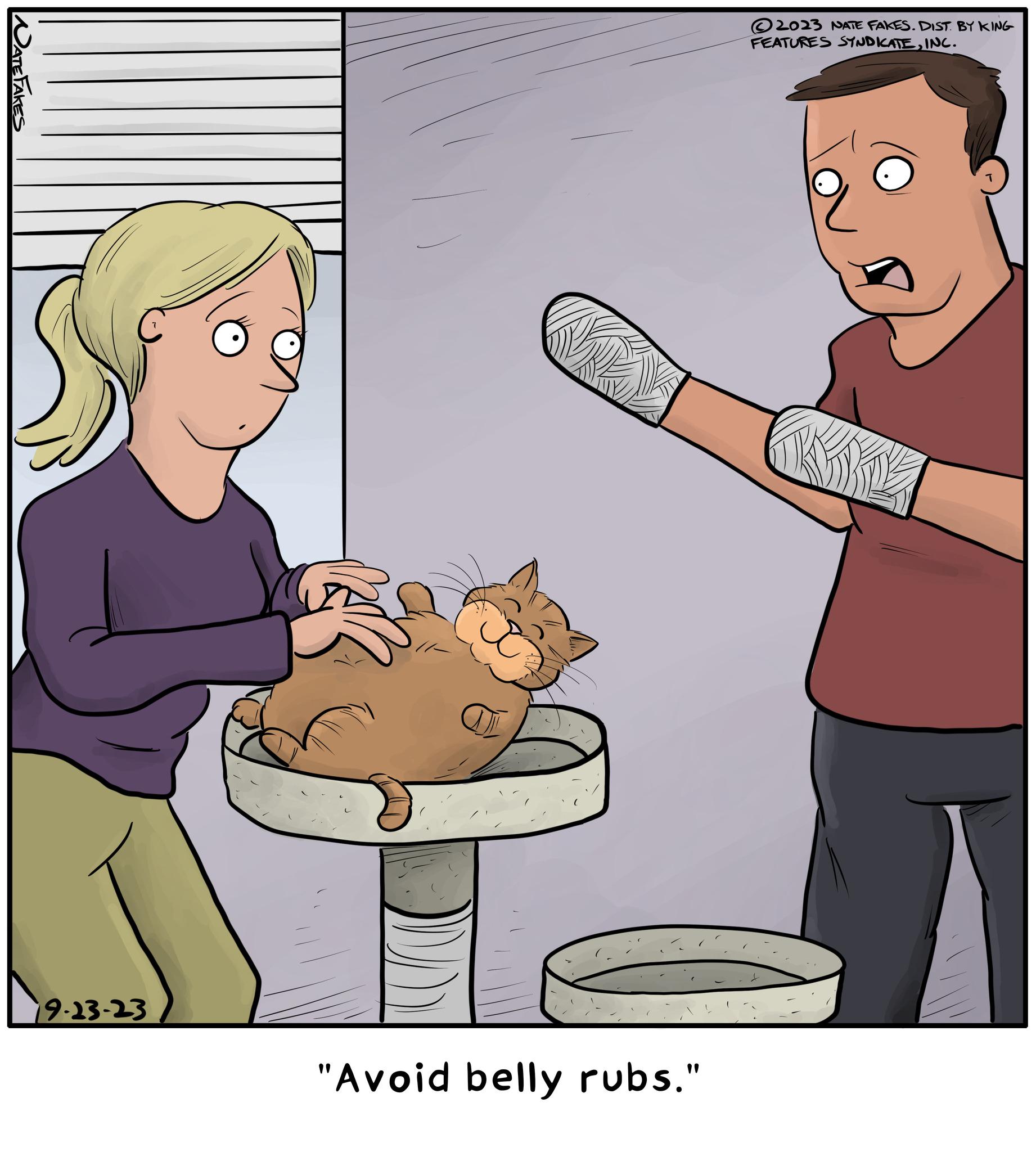Cat OCR: NATE FAKES 19-23-23 "Avoid belly rubs." 2023 NATE FAKES. DIST. BY KING FEATURES SYNDICATEINC. NATE FAKES 19-23-23 " Avoid belly rubs . " 2023 NATE FAKES . DIST . BY KING FEATURES SYNDICATEINC .