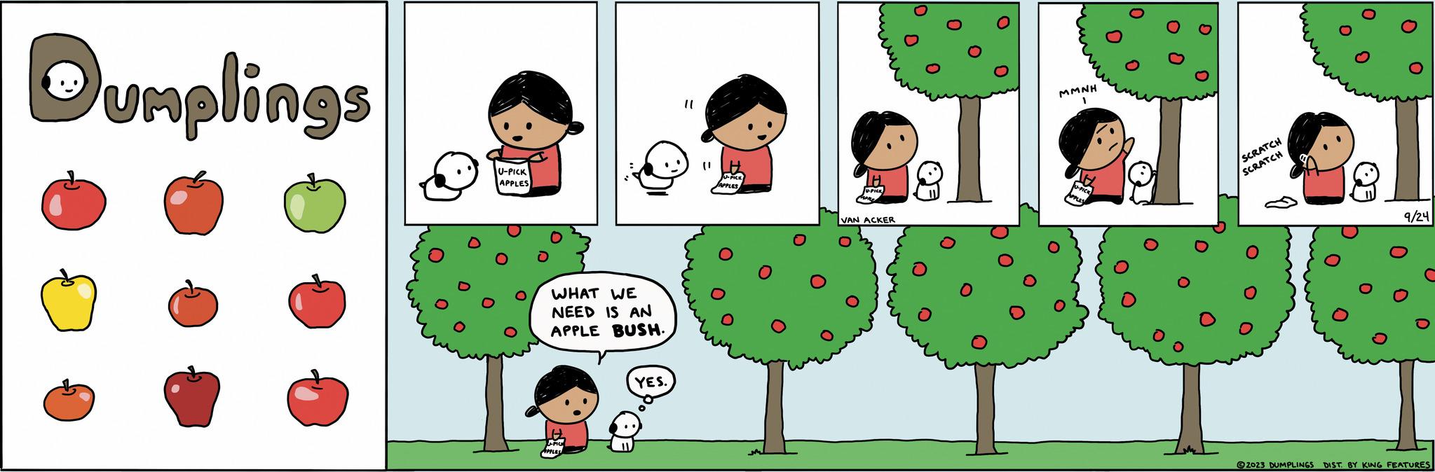 Cartoon OCR: Dumplings U-PICK APPLES WHAT WE NEED IS AN APPLE BUSH. P.O YES. 11 VAN ACKER MMNH SCRATCH SCRATCH 9/24 2023 DUMPLINGS DIST BY KING FEATURES Dumplings U - PICK APPLES WHAT WE NEED IS AN APPLE BUSH . P.O YES . 11 VAN ACKER MMNH SCRATCH SCRATCH 9/24 2023 DUMPLINGS DIST BY KING FEATURES