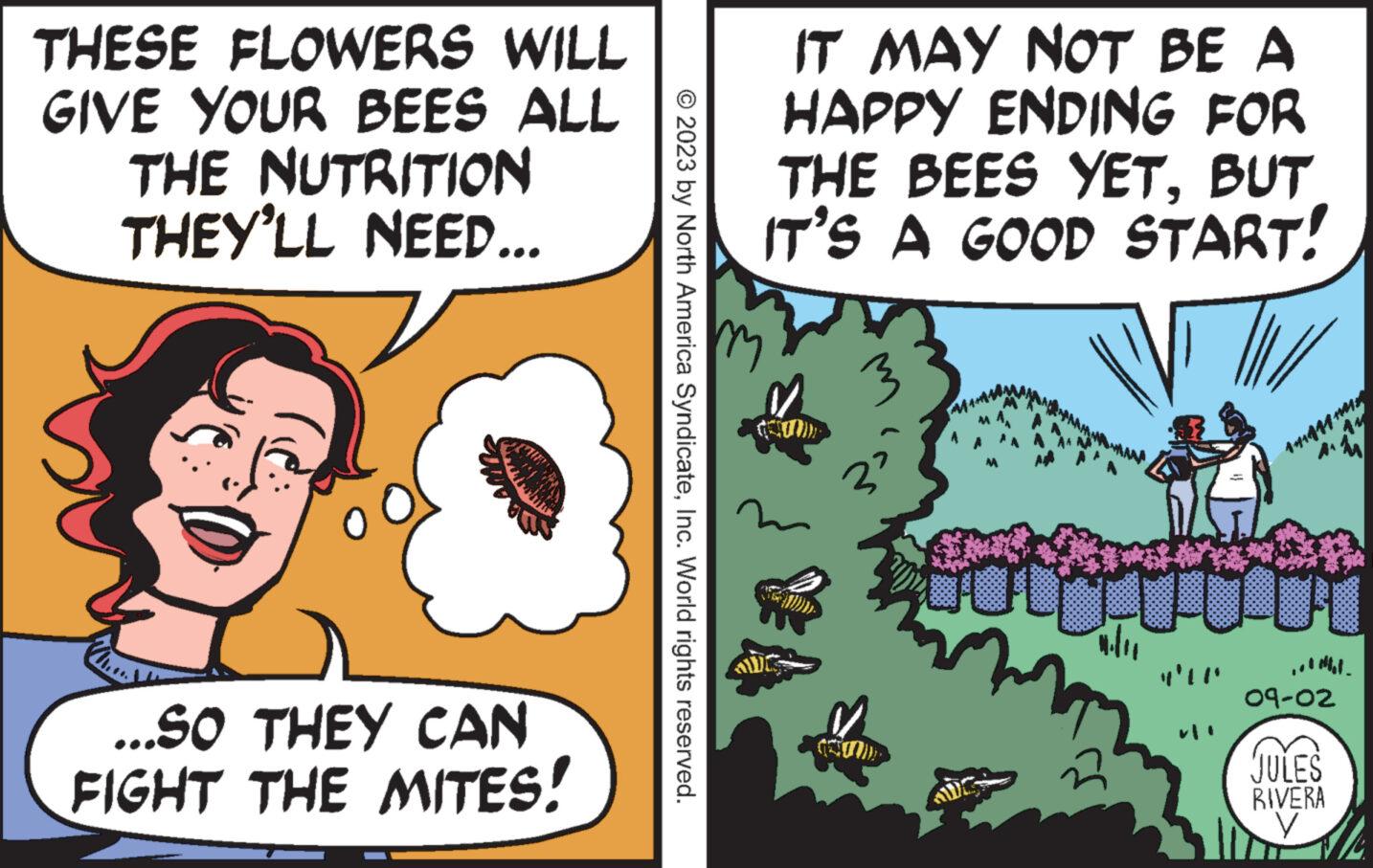 Fiction OCR: THESE FLOWERS WILL GIVE YOUR BEES ALL THE NUTRITION THEY'LL NEED... ...SO THEY CAN FIGHT THE MITES! © 2023 by North America SyndicateInc. World rights reserved. IT MAY NOT BE A HAPPY ENDING FOR THE BEES YETBUT IT'S A GOOD START! m 3 3² A NA AA Pidu 14144145 09-02 mit JULES RIVERA V THESE FLOWERS WILL GIVE YOUR BEES ALL THE NUTRITION THEY'LL NEED ... ... SO THEY CAN FIGHT THE MITES ! © 2023 by North America SyndicateInc. World rights reserved . IT MAY NOT BE A HAPPY ENDING FOR THE BEES YETBUT IT'S A GOOD START ! m 3 3² A NA AA Pidu 14144145 09-02 mit JULES RIVERA V