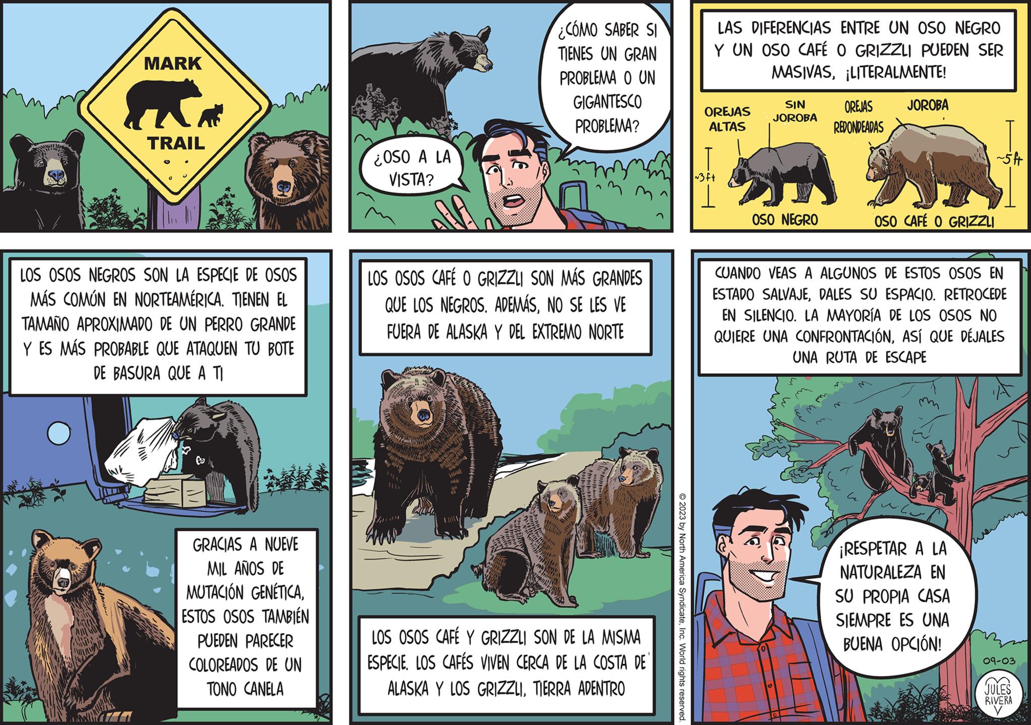 Art OCR: MARK ATT TRAIL LOS OSOS NEGROS SON LA ESPECIE DE OSOS MÁS COMÚN EN NORTEAMÉRICA. TIENEN EL TAMAÑO APROXIMADO DE UN PERRO GRANDE Y ES MÁS PROBABLE QUE ATAQUEN TU BOTE DE BASURA QUE A TI GRACIAS A NUEVE MIL AÑOS DE MUTACIÓN GENÉTICAESTOS OSOS TAMBIÉN PUEDEN PARECER COLOREADOS DE UN TONO CANELA ¿OSO A LA VISTA? ¿CÓMO SABER SI TIENES UN GRAN PROBLEMA O UN HAL GIGANTESCO PROBLEMA? LOS OSOS CAFÉ O GRIZZLI SON MÁS GRANDES QUE LOS NEGROS. ADEMÁSNO SE LES VE FUERA DE ALASKA Y DEL EXTREMO NORTE LOS OSOS CAFÉ Y GRIZZLI SON DE LA MISMA ESPECIE. LOS CAFÉS VIVEN CERCA DE LA COSTA DE' ALASKA Y LOS GRIZZLITIERRA ADENTRO © 2023 by North America SyndicateInc. World rights reserved. LAS DIFERENCIAS ENTRE UN OSO NEGRO Y UN OSO CAFÉ O GRIZZLI PUEDEN SER MASIVASLITERALMENTE! OREJAS ALTAS ~3ft SIN JOROBA OSO NEGRO OREJAS REDONDEADAS JOROBA OSO CAFÉ O GRIZZLI ~5 fr CUANDO VEAS A ALGUNOS DE ESTOS OSOS EN ESTADO SALVAJEDALES SU ESPACIO. RETROCEDE EN SILENCIO. LA MAYORÍA DE LOS OSOS NO QUIERE UNA CONFRONTACIÓNASÍ QUE DÉJALES UNA RUTA DE ESCAPE ¡RESPETAR A LA NATURALEZA EN SU PROPIA CASA SIEMPRE ES UNA BUENA OPCIÓN! 09-03 JULES (SEX RIVERA ?? MARK ATT TRAIL LOS OSOS NEGROS SON LA ESPECIE DE OSOS MÁS COMÚN EN NORTEAMÉRICA . TIENEN EL TAMAÑO APROXIMADO DE UN PERRO GRANDE Y ES MÁS PROBABLE QUE ATAQUEN TU BOTE DE BASURA QUE A TI GRACIAS A NUEVE MIL AÑOS DE MUTACIÓN GENÉTICAESTOS OSOS TAMBIÉN PUEDEN PARECER COLOREADOS DE UN TONO CANELA ¿ OSO A LA VISTA ? ¿ CÓMO SABER SI TIENES UN GRAN PROBLEMA O UN HAL GIGANTESCO PROBLEMA ? LOS OSOS CAFÉ O GRIZZLI SON MÁS GRANDES QUE LOS NEGROS . ADEMÁSNO SE LES VE FUERA DE ALASKA Y DEL EXTREMO NORTE LOS OSOS CAFÉ Y GRIZZLI SON DE LA MISMA ESPECIE . LOS CAFÉS VIVEN CERCA DE LA COSTA DE ' ALASKA Y LOS GRIZZLITIERRA ADENTRO © 2023 by North America SyndicateInc. World rights reserved . LAS DIFERENCIAS ENTRE UN OSO NEGRO Y UN OSO CAFÉ O GRIZZLI PUEDEN SER MASIVASLITERALMENTE ! OREJAS ALTAS ~ 3ft SIN JOROBA OSO NEGRO OREJAS REDONDEADAS JOROBA OSO CAFÉ O GRIZZLI ~ 5 fr CUANDO VEAS A ALGUNOS DE ESTOS OSOS EN ESTADO SALVAJEDALES SU ESPACIO . RETROCEDE EN SILENCIO . LA MAYORÍA DE LOS OSOS NO QUIERE UNA CONFRONTACIÓNASÍ QUE DÉJALES UNA RUTA DE ESCAPE ¡ RESPETAR A LA NATURALEZA EN SU PROPIA CASA SIEMPRE ES UNA BUENA OPCIÓN ! 09-03 JULES ( SEX RIVERA ??