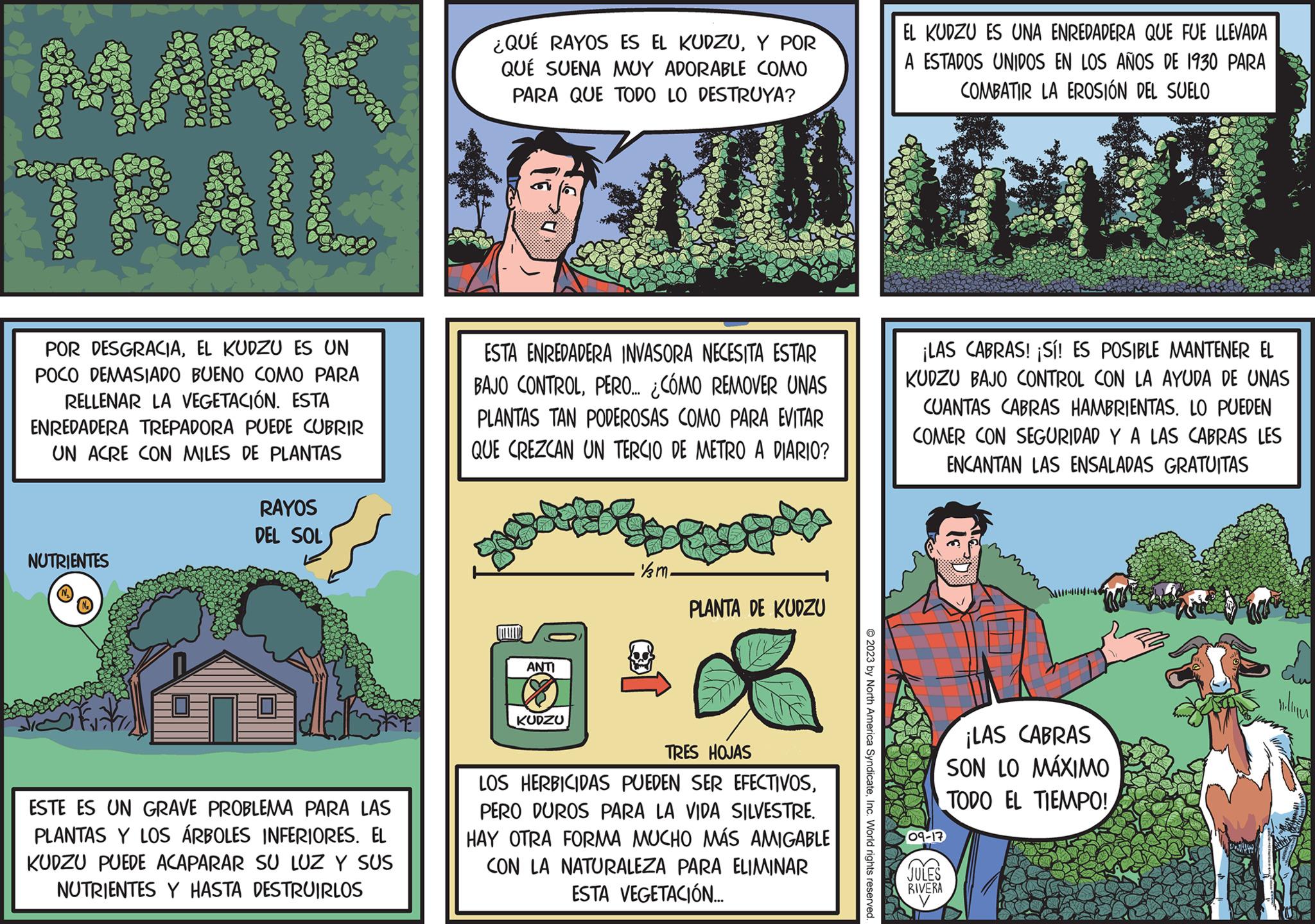 Terrestrial plant OCR: M NUTRIENTES W POR DESGRACIAEL KUDZU ES UN POCO DEMASIADO BUENO COMO PARA RELLENAR LA VEGETACIÓN. ESTA ENREDADERA TREPADORA PUEDE CUBRIR UN ACRE CON MILES DE PLANTAS RAYOS DEL SOL ESTE ES UN GRAVE PROBLEMA PARA LAS PLANTAS Y LOS ÁRBOLES INFERIORES. EL KUDZU PUEDE ACAPARAR SU LUZ Y SUS NUTRIENTES Y HASTA DESTRUIRLOS ¿QUÉ RAYOS ES EL KUDZUY POR QUE SUENA MUY ADORABLE COMO PARA QUE TODO LO DESTRUYA? ? ESTA ENREDADERA INVASORA NECESITA ESTAR BAJO CONTROLPERO... ¿CÓMO REMOVER UNAS PLANTAS TAN PODEROSAS COMO PARA EVITAR QUE CREZCAN UN TERCIO DE METRO A DIARIO? T ANTI KUDZU km. PLANTA DE KUDZU TRES HOJAS LOS HERBICIDAS PUEDEN SER EFECTIVOSPERO DUROS PARA LA VIDA SILVESTRE. HAY OTRA FORMA MUCHO MÁS AMIGABLE CON LA NATURALEZA PARA ELIMINAR ESTA VEGETACIÓN... © 2023 by North America SyndicateInc. World rights reserved. EL KUDZU ES UNA ENREDADERA QUE FUE LLEVADA A ESTADOS UNIDOS EN LOS AÑOS DE 1930 PARA COMBATIR LA EROSIÓN DEL SUELO ¡LAS CABRAS! ¡Sí! ES POSIBLE MANTENER EL KUDZU BAJO CONTROL CON LA AYUDA DE UNAS CUANTAS CABRAS HAMBRIENTAS. LO PUEDEN COMER CON SEGURIDAD Y A LAS CABRAS LES ENCANTAN LAS ENSALADAS GRATUITAS 09-17 JULES RIVERA y ¡LAS CABRAS SON LO MÁXIMO TODO EL TIEMPO! m.lv M NUTRIENTES W POR DESGRACIAEL KUDZU ES UN POCO DEMASIADO BUENO COMO PARA RELLENAR LA VEGETACIÓN . ESTA ENREDADERA TREPADORA PUEDE CUBRIR UN ACRE CON MILES DE PLANTAS RAYOS DEL SOL ESTE ES UN GRAVE PROBLEMA PARA LAS PLANTAS Y LOS ÁRBOLES INFERIORES . EL KUDZU PUEDE ACAPARAR SU LUZ Y SUS NUTRIENTES Y HASTA DESTRUIRLOS ¿ QUÉ RAYOS ES EL KUDZUY POR QUE SUENA MUY ADORABLE COMO PARA QUE TODO LO DESTRUYA ? ? ESTA ENREDADERA INVASORA NECESITA ESTAR BAJO CONTROLPERO ... ¿ CÓMO REMOVER UNAS PLANTAS TAN PODEROSAS COMO PARA EVITAR QUE CREZCAN UN TERCIO DE METRO A DIARIO ? T ANTI KUDZU km . PLANTA DE KUDZU TRES HOJAS LOS HERBICIDAS PUEDEN SER EFECTIVOSPERO DUROS PARA LA VIDA SILVESTRE . HAY OTRA FORMA MUCHO MÁS AMIGABLE CON LA NATURALEZA PARA ELIMINAR ESTA VEGETACIÓN ... © 2023 by North America SyndicateInc. World rights reserved . EL KUDZU ES UNA ENREDADERA QUE FUE LLEVADA A ESTADOS UNIDOS EN LOS AÑOS DE 1930 PARA COMBATIR LA EROSIÓN DEL SUELO ¡ LAS CABRAS ! ¡ Sí ! ES POSIBLE MANTENER EL KUDZU BAJO CONTROL CON LA AYUDA DE UNAS CUANTAS CABRAS HAMBRIENTAS . LO PUEDEN COMER CON SEGURIDAD Y A LAS CABRAS LES ENCANTAN LAS ENSALADAS GRATUITAS 09-17 JULES RIVERA y ¡ LAS CABRAS SON LO MÁXIMO TODO EL TIEMPO ! m.lv