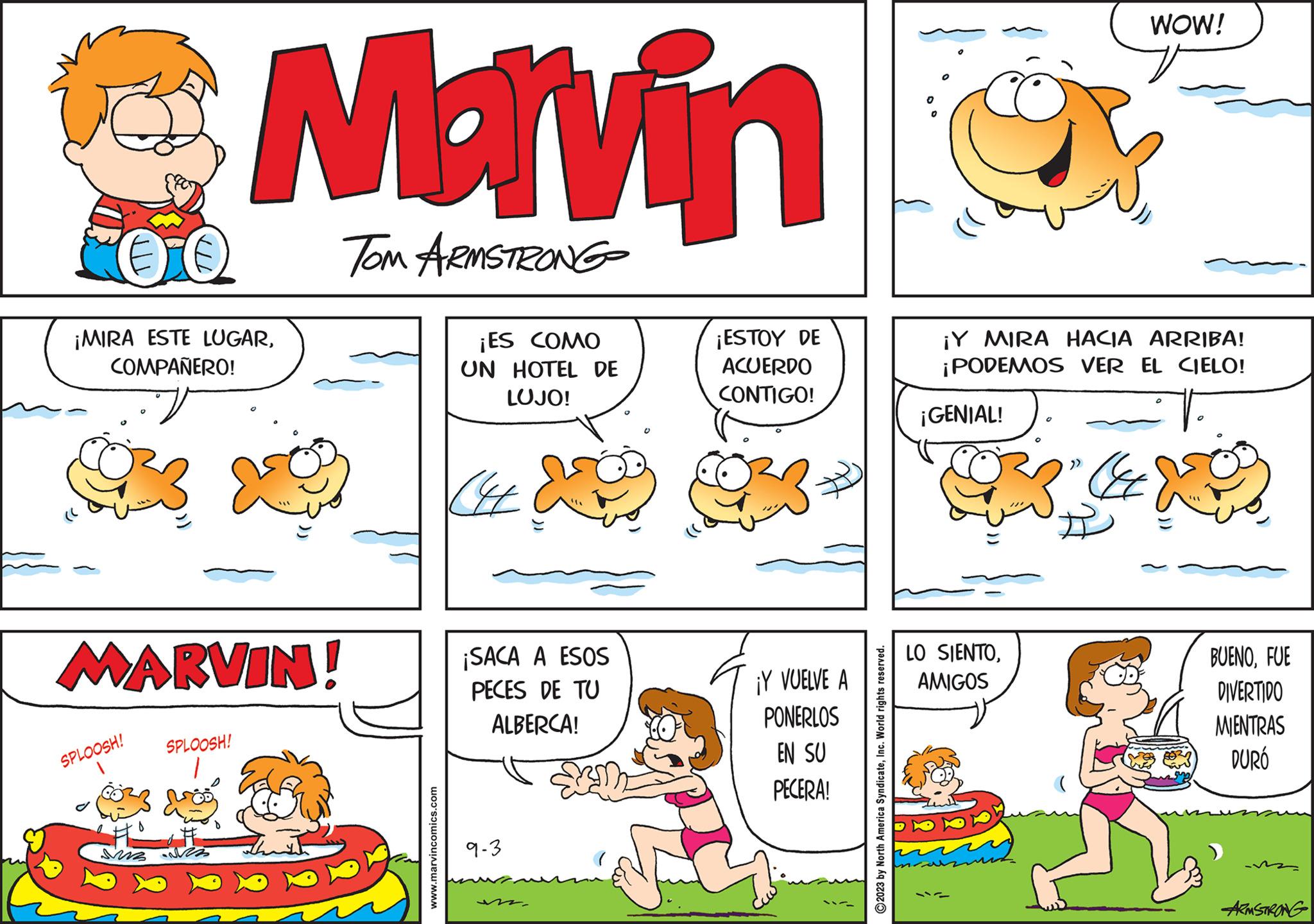 Line OCR: TO ¡MIRA ESTE LUGARCOMPAÑERO! MARVIN! SPLOOSH! Marvin TOM ARMSTRONG SPLOOSH! ms www.marvincomics.com ¡ES COMO UN HOTEL DE LUJO! CHE ¡SACA A ESOS PECES DE TU ALBERCA! 9-3 ¡ESTOY DE ACUERDO CONTIGO! ¡Y VUELVE A PONERLOS EN SU PECERA! ?2023 by North America SyndicateInc. World rights reserved. ¡GENIAL! 2 ¡Y MIRA HACIA ARRIBA! ¡PODEMOS VER EL CIELO! LO SIENTOAMIGOS B WOW! ??? BUENOFUE DIVERTIDO MIENTRAS DURÓ ARMSTRONG TO ¡ MIRA ESTE LUGARCOMPAÑERO ! MARVIN ! SPLOOSH ! Marvin TOM ARMSTRONG SPLOOSH ! ms www.marvincomics.com ¡ ES COMO UN HOTEL DE LUJO ! CHE ¡ SACA A ESOS PECES DE TU ALBERCA ! 9-3 ¡ ESTOY DE ACUERDO CONTIGO ! ¡ Y VUELVE A PONERLOS EN SU PECERA ! ?2023 by North America SyndicateInc. World rights reserved . ¡ GENIAL ! 2 ¡ Y MIRA HACIA ARRIBA ! ¡ PODEMOS VER EL CIELO ! LO SIENTOAMIGOS B WOW ! ??? BUENOFUE DIVERTIDO MIENTRAS DURÓ ARMSTRONG