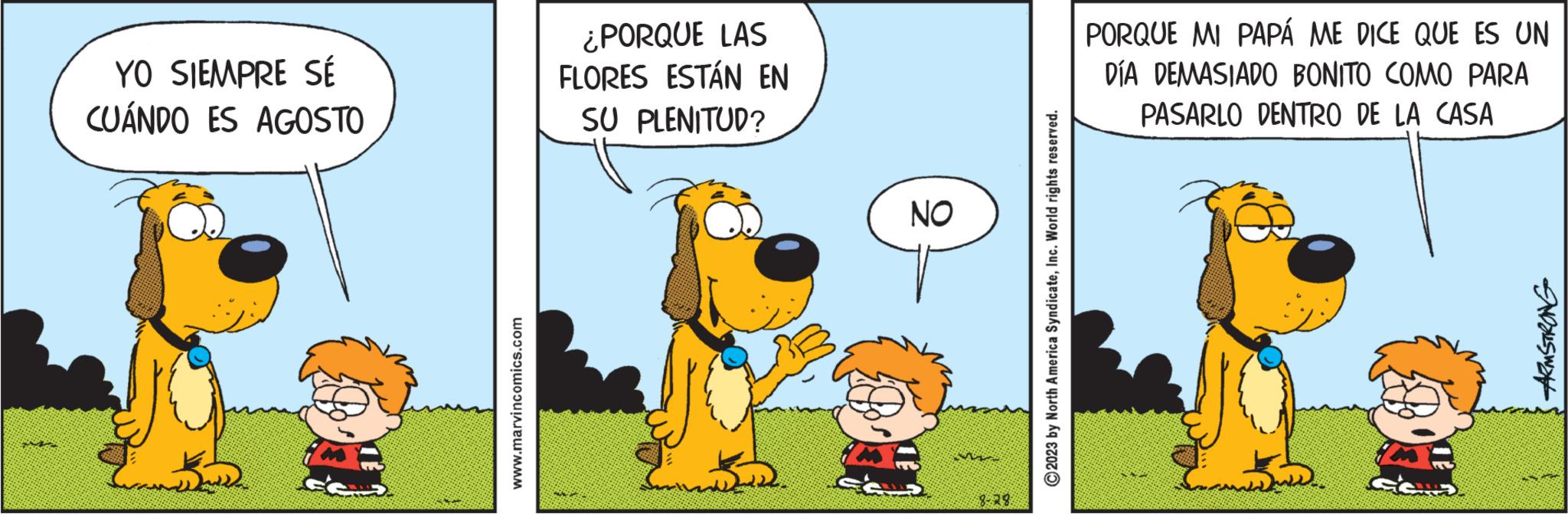 Font OCR: YO SIEMPRE SÉ CUÁNDO ES AGOSTO www.marvincomics.com ¿PORQUE LAS FLORES ESTÁN EN SU PLENITUD? NO 8-28: © 2023 by North America SyndicateInc. World rights reserved. PORQUE MI PAPÁ ME DICE QUE ES UN DÍA DEMASIADO BONITO COMO PARA PASARLO DENTRO DE LA CASA ARMSTRONG YO SIEMPRE SÉ CUÁNDO ES AGOSTO www.marvincomics.com ¿ PORQUE LAS FLORES ESTÁN EN SU PLENITUD ? NO 8-28 : © 2023 by North America SyndicateInc. World rights reserved . PORQUE MI PAPÁ ME DICE QUE ES UN DÍA DEMASIADO BONITO COMO PARA PASARLO DENTRO DE LA CASA ARMSTRONG