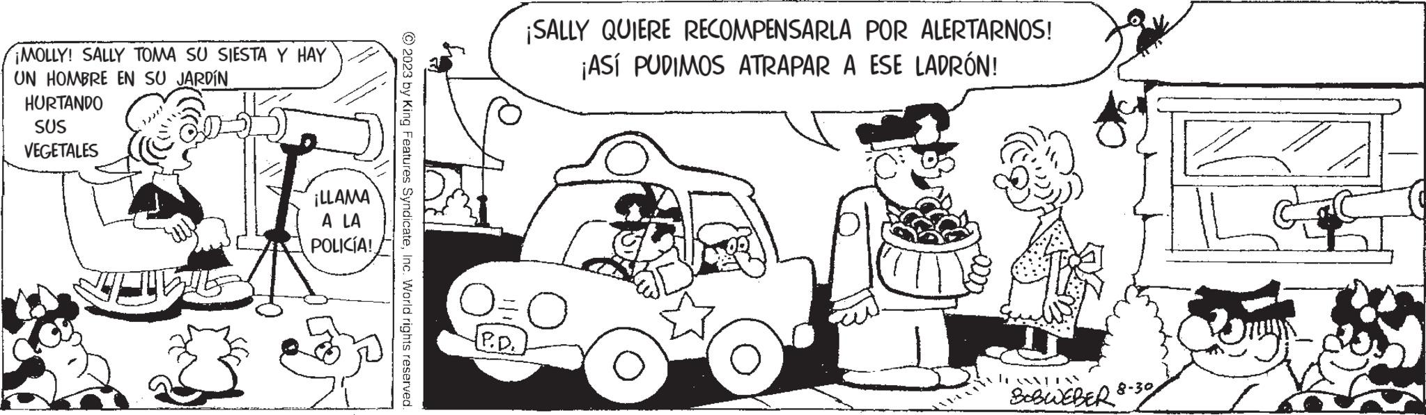 Organism OCR: ¡MOLLY! SALLY TOMA SU SIESTA Y HAY UN HOMBRE EN SU JARDÍN HURTANDO SUS VEGETALES ¡LLAMA A LA POLICÍA! © 2023 by King Features SyndicateInc. World rights reserved {P.D. ¡SALLY QUIERE RECOMPENSARLA POR ALERTARNOS! ¡ASÍ PUDIMOS ATRAPAR A ESE LADRÓN! BOBWEBER 8-30 ¡ MOLLY ! SALLY TOMA SU SIESTA Y HAY UN HOMBRE EN SU JARDÍN HURTANDO SUS VEGETALES ¡ LLAMA A LA POLICÍA ! © 2023 by King Features SyndicateInc. World rights reserved { P.D. ¡ SALLY QUIERE RECOMPENSARLA POR ALERTARNOS ! ¡ ASÍ PUDIMOS ATRAPAR A ESE LADRÓN ! BOBWEBER 8-30