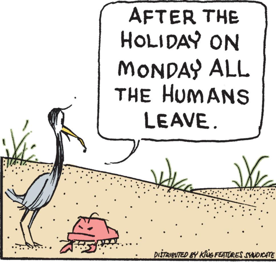 geese and swans OCR: 5. AFTER THE HOLIDAY ON MONDAY ALL THE HUMANS LEAVE. WC DISTRIBUTED BY KING FEATURES SYNDICATE 5 . AFTER THE HOLIDAY ON MONDAY ALL THE HUMANS LEAVE . WC DISTRIBUTED BY KING FEATURES SYNDICATE