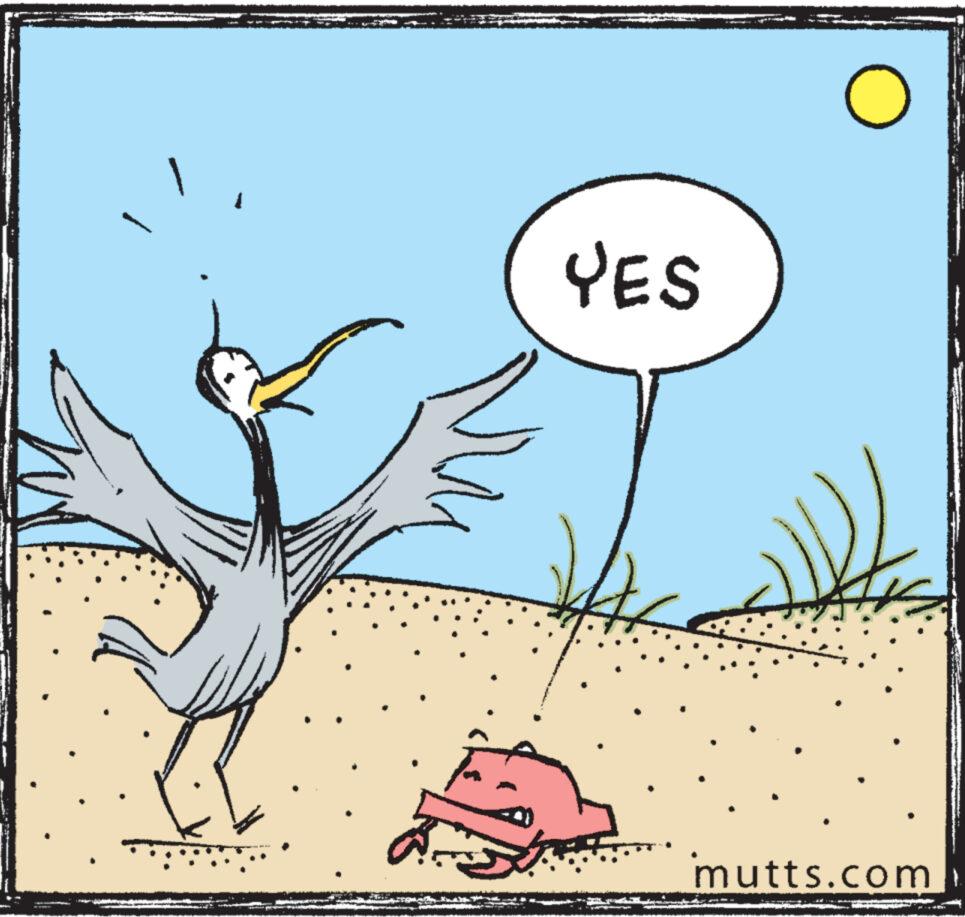 Illustration OCR: 5 YES O mutts.com 5 YES O mutts.com