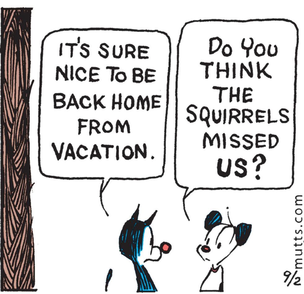 Parallel OCR: IT'S SURE NICE TO BE BACK HOME FROM VACATION. Do You THINK THE SQUIRRELS MISSED US? mutts mutts.com 9/2 IT'S SURE NICE TO BE BACK HOME FROM VACATION . Do You THINK THE SQUIRRELS MISSED US ? mutts mutts.com 9/2