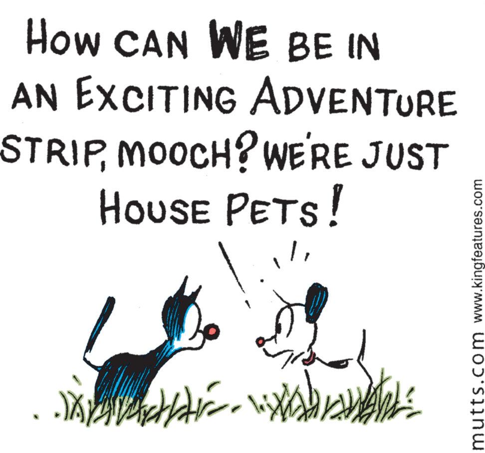 Poster OCR: How CAN WE BE IN AN EXCITING ADVENTURE STRIPMOOCH? WE'RE JUST HOUSE PETS! JAMBAAR. WODWALE mutts.com www.kingfeatures.com How CAN WE BE IN AN EXCITING ADVENTURE STRIPMOOCH ? WE'RE JUST HOUSE PETS ! JAMBAAR . WODWALE mutts.com www.kingfeatures.com
