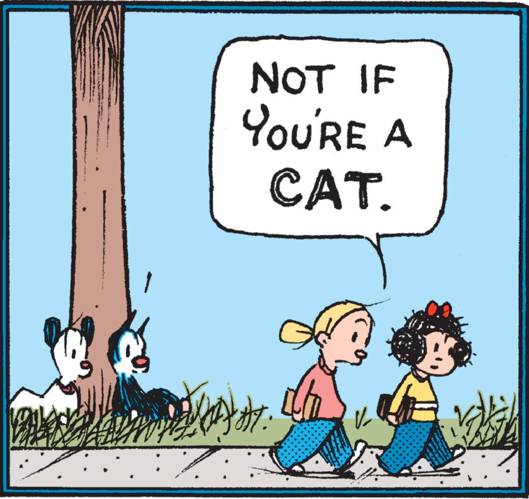 Line OCR: 19 my NOT IF YOU'RE A CAT. HAT: ? V2 OB 19 my NOT IF YOU'RE A CAT . HAT : ? V2 OB