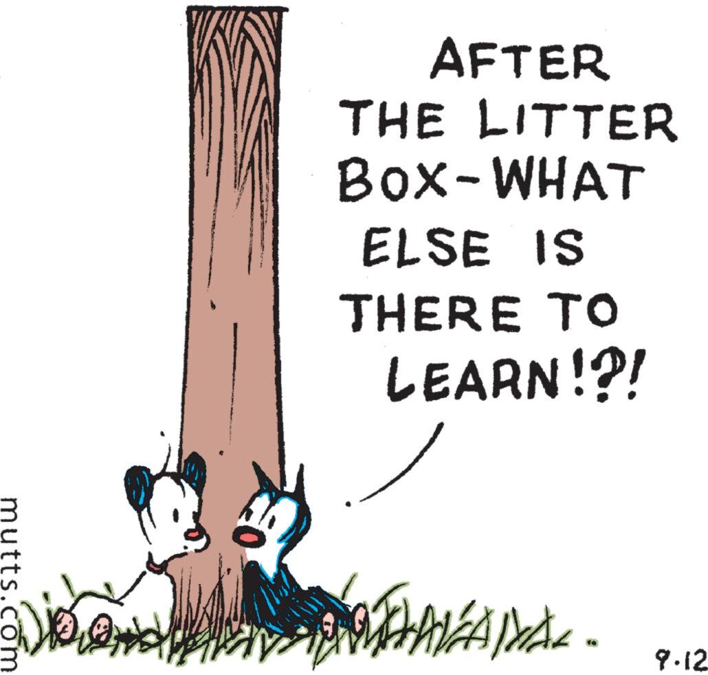 Art OCR: mutts.com ?? O AFTER THE LITTER BOX-WHAT ELSE IS THERE TO LEARN!?! THAKAMA. 9.12 mutts.com ?? O AFTER THE LITTER BOX - WHAT ELSE IS THERE TO LEARN ! ? ! THAKAMA . 9.12