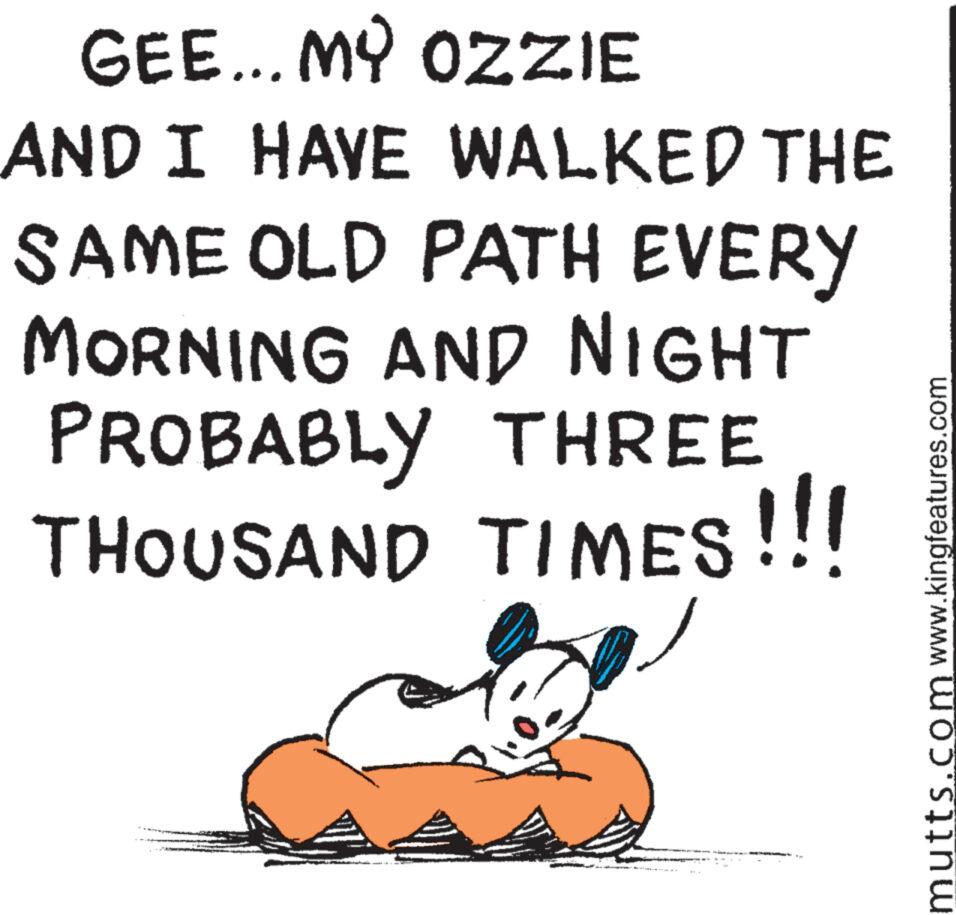 Sharing OCR: GEE... MY OZZIE AND I HAVE WALKED THE SAME OLD PATH EVERY MORNING AND NIGHT PROBABLY THREE THOUSAND TIMES!!! mutts.com www.kingfeatures.com GEE ... MY OZZIE AND I HAVE WALKED THE SAME OLD PATH EVERY MORNING AND NIGHT PROBABLY THREE THOUSAND TIMES !!! mutts.com www.kingfeatures.com