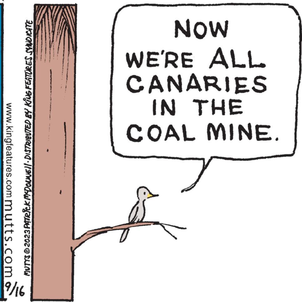 Illustration OCR: 19/16 www.kingfeatures.commutts.com MUTTS © 2023 PATRICK MCDONWE||· DISTRIBUTED BY KING FEATURES SYNDICATE COAL MINE. IN THE CANARIES WE'RE ALL NOW 19/16 www.kingfeatures.commutts.com MUTTS © 2023 PATRICK MCDONWE || · DISTRIBUTED BY KING FEATURES SYNDICATE COAL MINE . IN THE CANARIES WE'RE ALL NOW