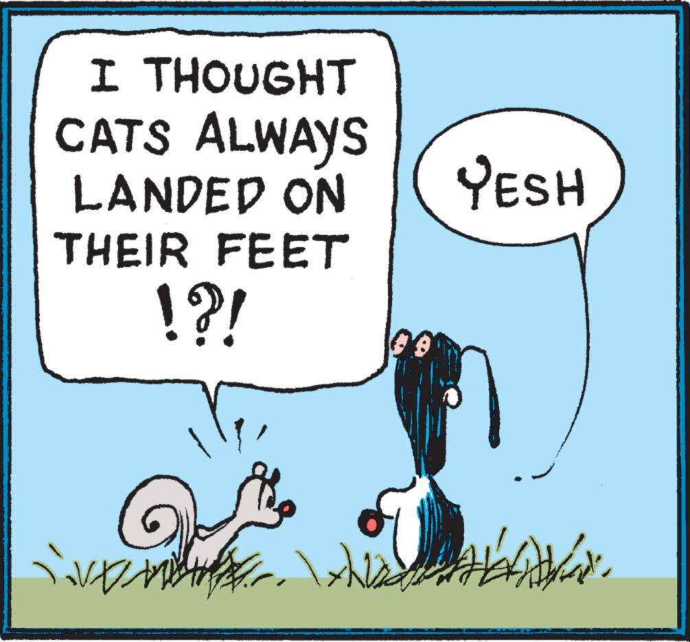 Illustration OCR: I THOUGHT CATS ALWAYS LANDED ON THEIR FEET !?! iver Nx YESH I THOUGHT CATS ALWAYS LANDED ON THEIR FEET ! ? ! iver Nx YESH