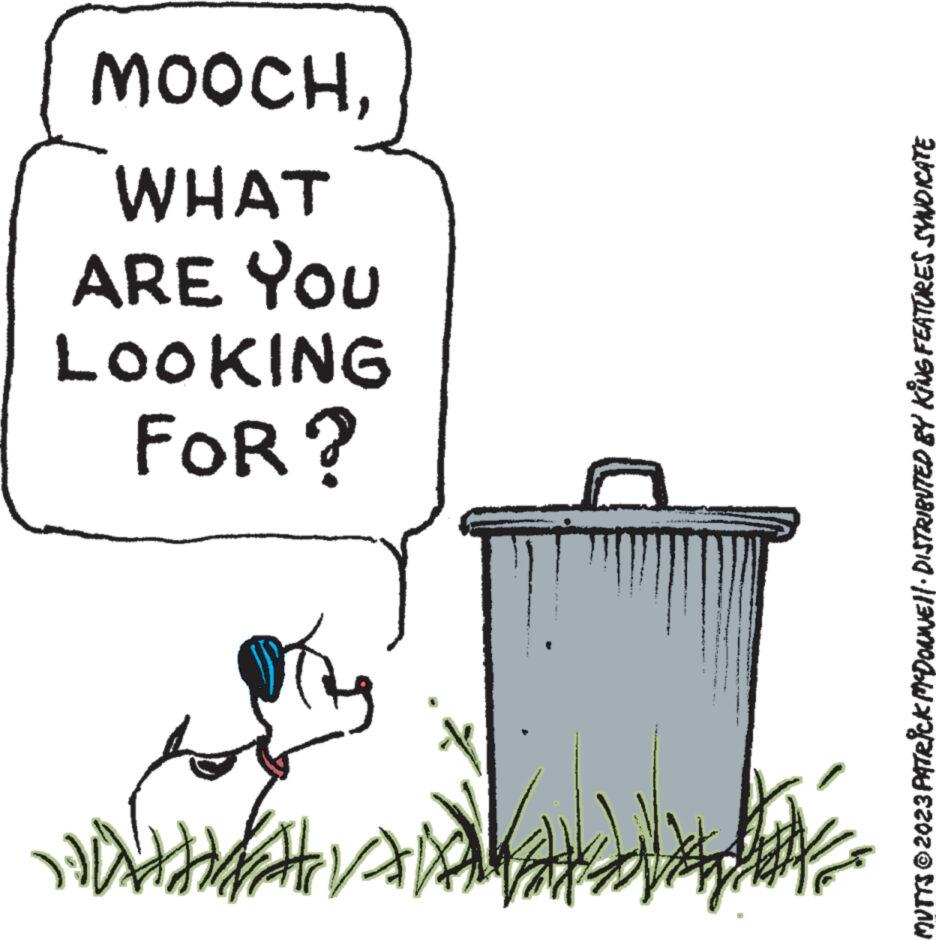 Drawing OCR: ???????? HVAD V ?? . FOR? LOOKING WHAT ARE YOU MOOCH MUTTS © 2023 PATRICK MCDONNE!|· DISTRIBUTED BY KING FEATURES SYNDICATE ???????? HVAD V ?? . FOR ? LOOKING WHAT ARE YOU MOOCH MUTTS © 2023 PATRICK MCDONNE ! | · DISTRIBUTED BY KING FEATURES SYNDICATE