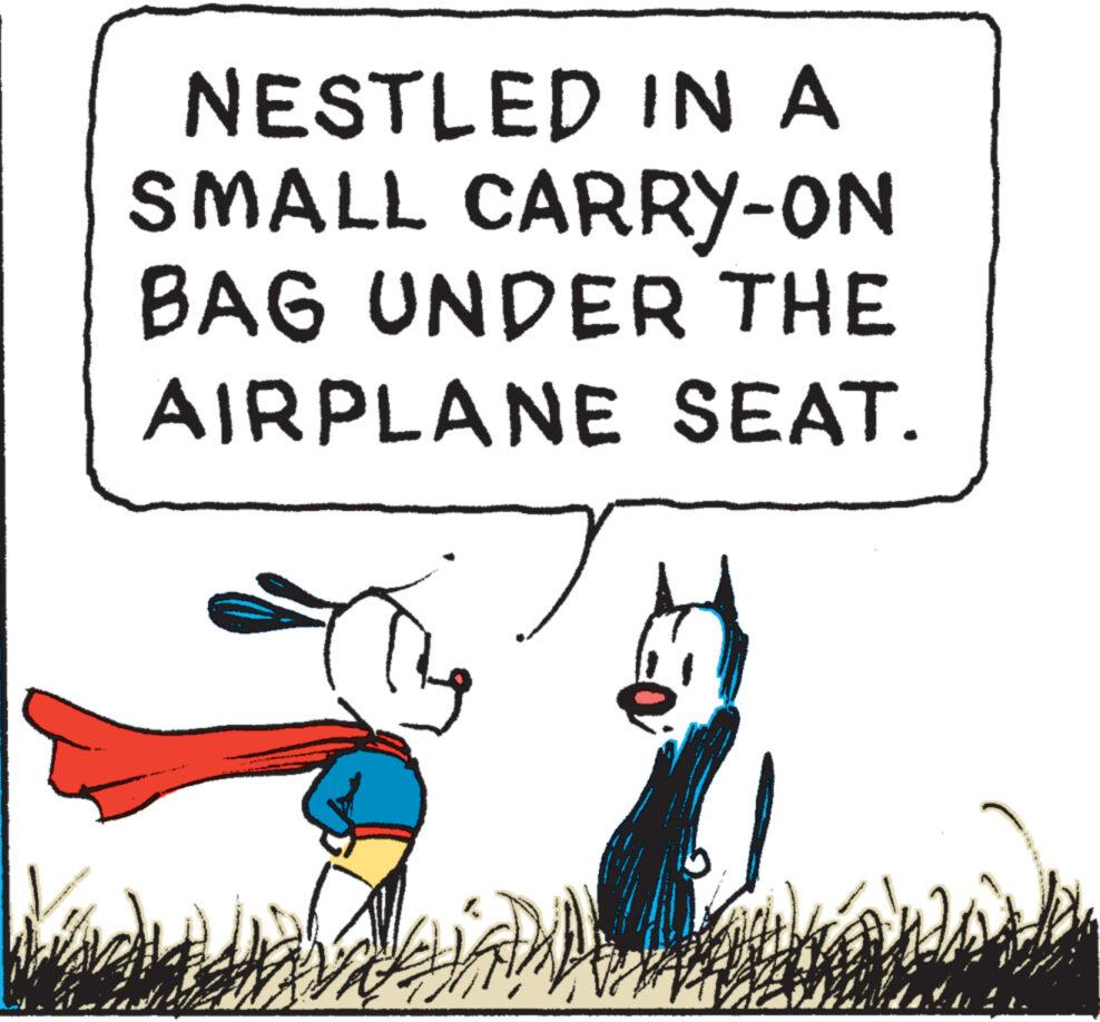 Illustration OCR: vastaande NESTLED IN A SMALL CARRY-ON BAG UNDER THE AIRPLANE SEAT. Ass M WALAN vastaande NESTLED IN A SMALL CARRY - ON BAG UNDER THE AIRPLANE SEAT . Ass M WALAN