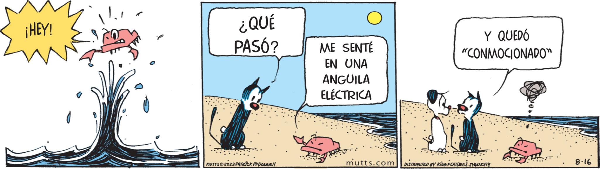 Drawing OCR: ¡HEY! ¿QUÉ PASÓ? MUTTS@2023 PATRICK MCDONNE!! ME SENTÉ EN UNA ANGUILA ELÉCTRICA mutts.com Y QUEDÓ "CONMOCIONADO" DISTRIBUTED BY KING FEATURES SYNDICATE 8.16 ¡ HEY ! ¿ QUÉ PASÓ ? MUTTS @ 2023 PATRICK MCDONNE !! ME SENTÉ EN UNA ANGUILA ELÉCTRICA mutts.com Y QUEDÓ " CONMOCIONADO " DISTRIBUTED BY KING FEATURES SYNDICATE 8.16