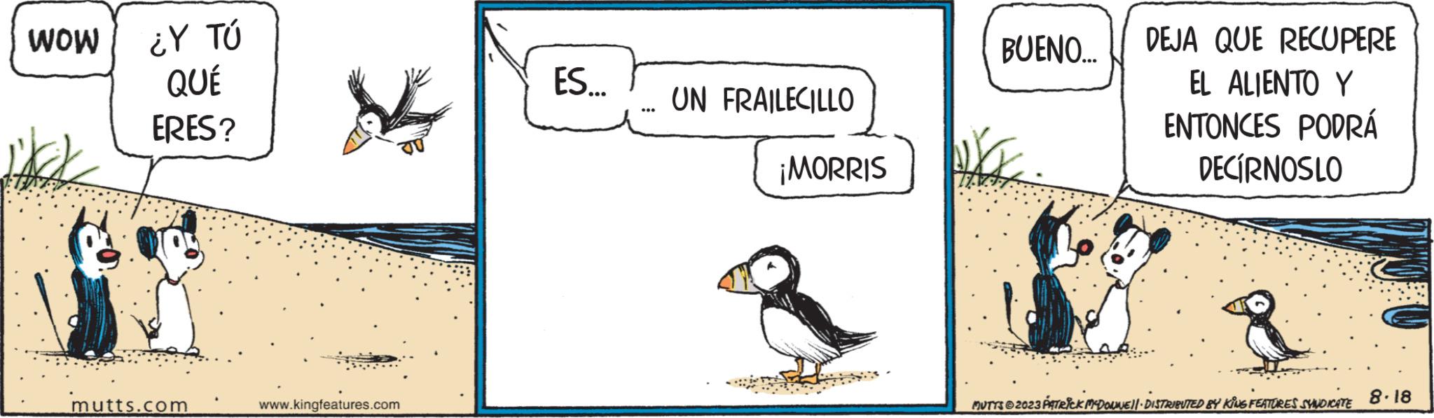 Slope OCR: WOW ¿Y TÚ QUÉ ERES? mutts.com www.kingfeatures.com ES... UN FRAILECILLO ¡MORRIS BUENO... DEJA QUE RECUPERE EL ALIENTO Y ENTONCES PODRÁ DECÍRNOSLO MUTTS © 2023 PATRICK MYDONNE||· DISTRIBUTED BY KING FEATURES SYNDICATE 8.18 WOW ¿ Y TÚ QUÉ ERES ? mutts.com www.kingfeatures.com ES ... UN FRAILECILLO ¡ MORRIS BUENO ... DEJA QUE RECUPERE EL ALIENTO Y ENTONCES PODRÁ DECÍRNOSLO MUTTS © 2023 PATRICK MYDONNE || · DISTRIBUTED BY KING FEATURES SYNDICATE 8.18