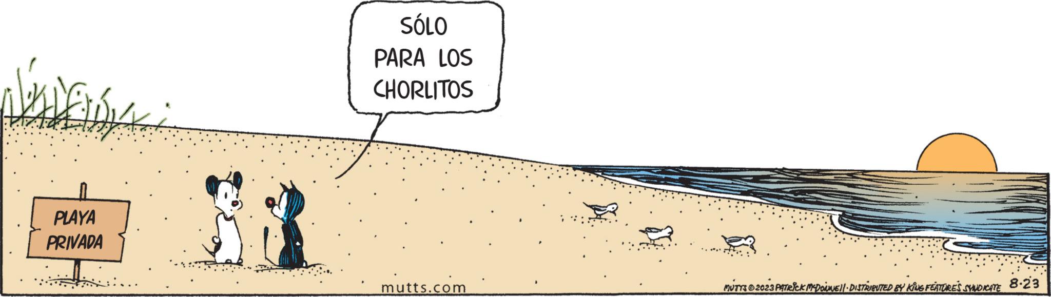 Illustration OCR: Alavens PLAYA PRIVADA SÓLO PARA LOS CHORLITOS mutts.cor MUTTS © 2023 PATRICK MCDONNE||· DISTRIBUTED BY KING FEATURES SYNDICATE 8.23 Alavens PLAYA PRIVADA SÓLO PARA LOS CHORLITOS mutts.cor MUTTS © 2023 PATRICK MCDONNE || · DISTRIBUTED BY KING FEATURES SYNDICATE 8.23
