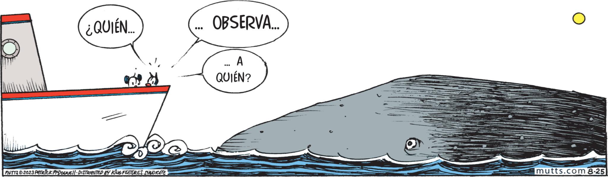 Art OCR: ¿QUIÉN... xpe MUTTS2023 PATRICK MCDONNE || - DISTRIBUTED BY KING FEATURES SYNDICATE OBSERVA... A QUIÉN? O mutts.com 8.25 ¿ QUIÉN ... xpe MUTTS2023 PATRICK MCDONNE || - DISTRIBUTED BY KING FEATURES SYNDICATE OBSERVA ... A QUIÉN ? O mutts.com 8.25