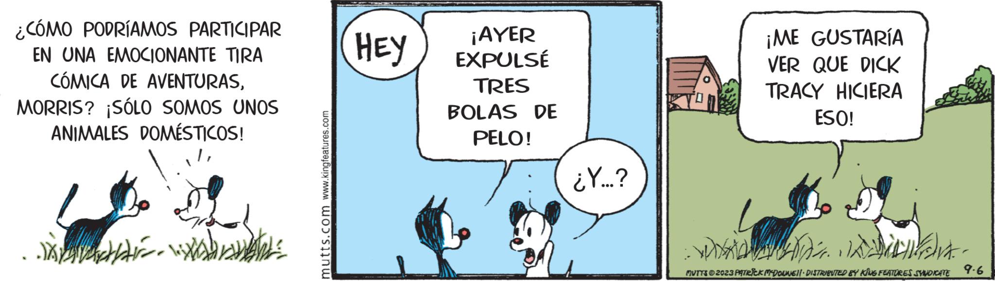 Illustration OCR: ¿CÓMO PODRÍAMOS PARTICIPAR EN UNA EMOCIONANTE TIRA CÓMICA DE AVENTURASMORRIS? ¡SÓLO SOMOS UNOS ANIMALES DOMÉSTICOS! darb mutts.com www.kingfeatures.com HEY ¡AYER EXPULSÉ TRES BOLAS DE PELO! ¿Y...? ¡ME GUSTARÍA VER QUE DICK TRACY HICIERA ESO! WXX ??? MUTTS © 2023 PATRICK MCDOUNEI!· DISTRIBUTED BY KING FEATURES SYNDICATE 9.6 ¿ CÓMO PODRÍAMOS PARTICIPAR EN UNA EMOCIONANTE TIRA CÓMICA DE AVENTURASMORRIS ? ¡ SÓLO SOMOS UNOS ANIMALES DOMÉSTICOS ! darb mutts.com www.kingfeatures.com HEY ¡ AYER EXPULSÉ TRES BOLAS DE PELO ! ¿ Y ... ? ¡ ME GUSTARÍA VER QUE DICK TRACY HICIERA ESO ! WXX ??? MUTTS © 2023 PATRICK MCDOUNEI ! · DISTRIBUTED BY KING FEATURES SYNDICATE 9.6