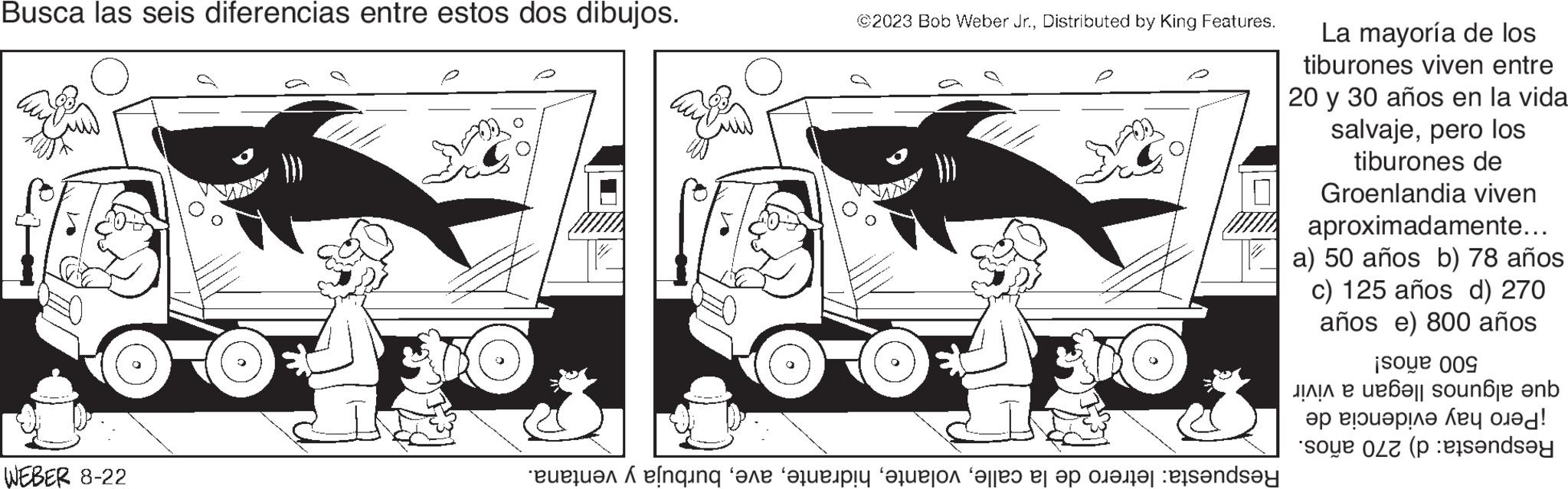 Automotive design OCR: Busca las seis diferencias entre estos dos dibujos. ©2023 Bob Weber Jr.Distributed by King Features. Loopoo Fo WEBER 8-22 in ne o o o o o o La mayoría de los tiburones viven entre 20 y 30 años en la vida salvajepero los tiburones de Groenlandia viven aproximadamente... a) 50 años b) 78 años c) 125 años d) 270 años e) 800 años ¡soue 009 bound anb ?? ?!????? ??? ??! "sou (p Busca las seis diferencias entre estos dos dibujos . © 2023 Bob Weber Jr.Distributed by King Features . Loopoo Fo WEBER 8-22 in ne o o o o o o La mayoría de los tiburones viven entre 20 y 30 años en la vida salvajepero los tiburones de Groenlandia viven aproximadamente ... a ) 50 años b ) 78 años c ) 125 años d ) 270 años e ) 800 años ¡ soue 009 bound anb ?? ? ! ????? ??? ?? ! " sou ( p