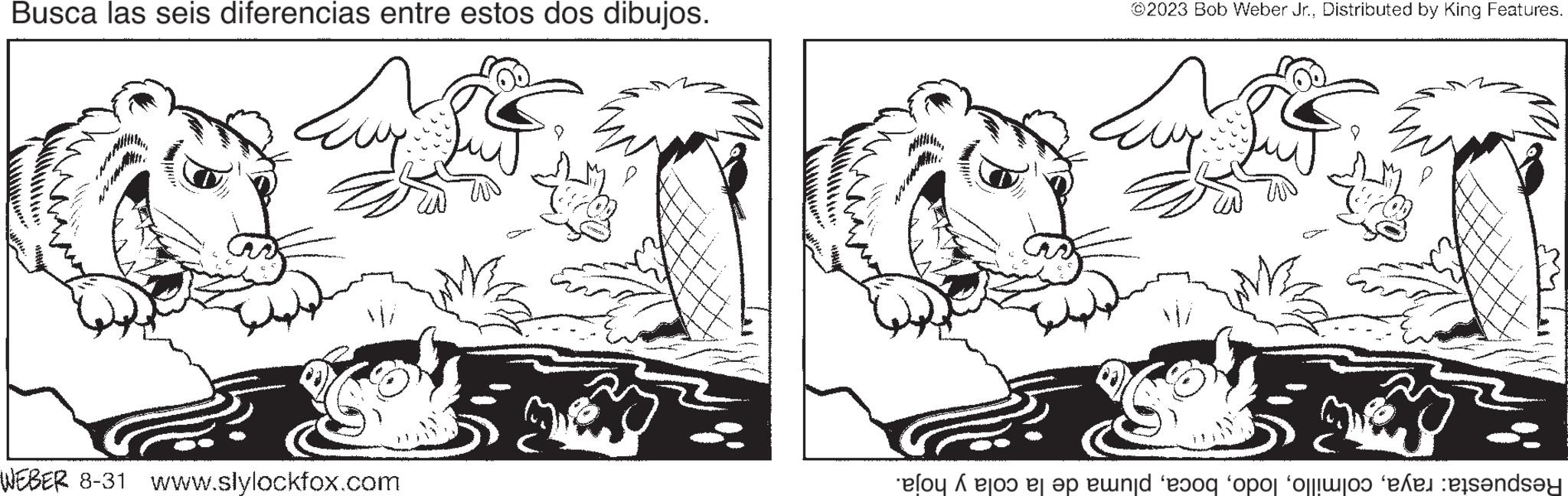 Plant OCR: Busca las seis diferencias entre estos dos dibujos. Eur WEBER 8-31 www.slylockfox.com ?2023 Bob Weber Jr.Distributed by King Features. young o open 'o o o odsey Busca las seis diferencias entre estos dos dibujos . Eur WEBER 8-31 www.slylockfox.com ?2023 Bob Weber Jr.Distributed by King Features . young o open ' o o o odsey