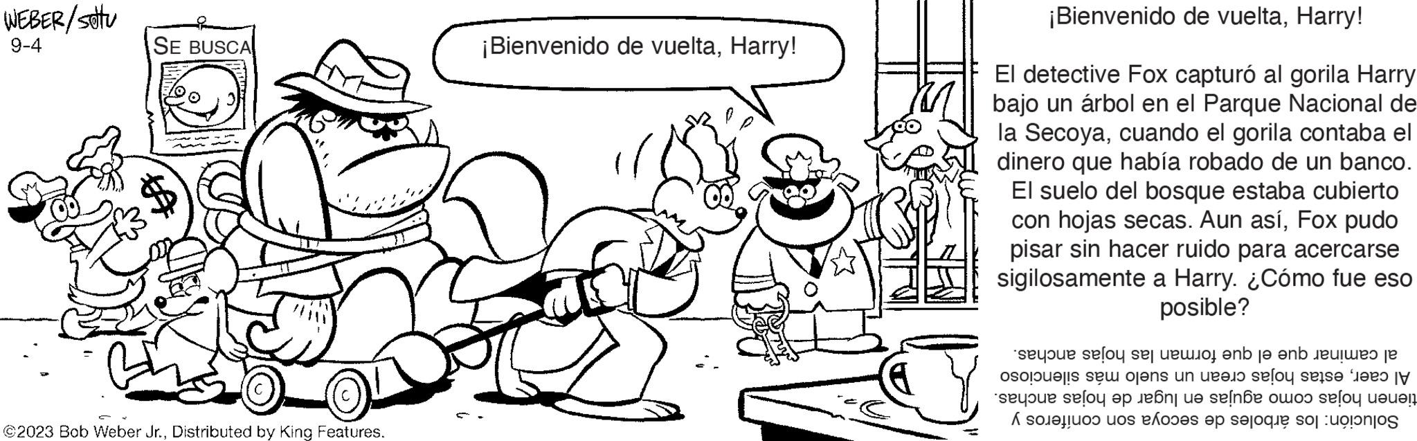 Font OCR: WEBER/settu 9-4 SE BUSCA ©2023 Bob Weber Jr.Distributed by King Features. ¡Bienvenido de vueltaHarry! ¡Bienvenido de vueltaHarry! El detective Fox capturó al gorila Harry bajo un árbol en el Parque Nacional de la Secoyacuando el gorila contaba el dinero que había robado de un banco. El suelo del bosque estaba cubierto con hojas secas. Aun asíFox pudo pisar sin hacer ruido para acercarse sigilosamente a Harry. ¿Cómo fue eso posible? selo selo se o no en tres e os se en un solo se selle loop van de sense oo selo at s os parte dos contos WEBER / settu 9-4 SE BUSCA © 2023 Bob Weber Jr.Distributed by King Features . ¡ Bienvenido de vueltaHarry ! ¡ Bienvenido de vueltaHarry ! El detective Fox capturó al gorila Harry bajo un árbol en el Parque Nacional de la Secoyacuando el gorila contaba el dinero que había robado de un banco . El suelo del bosque estaba cubierto con hojas secas . Aun asíFox pudo pisar sin hacer ruido para acercarse sigilosamente a Harry . ¿ Cómo fue eso posible ? selo selo se o no en tres e os se en un solo se selle loop van de sense oo selo at s os parte dos contos