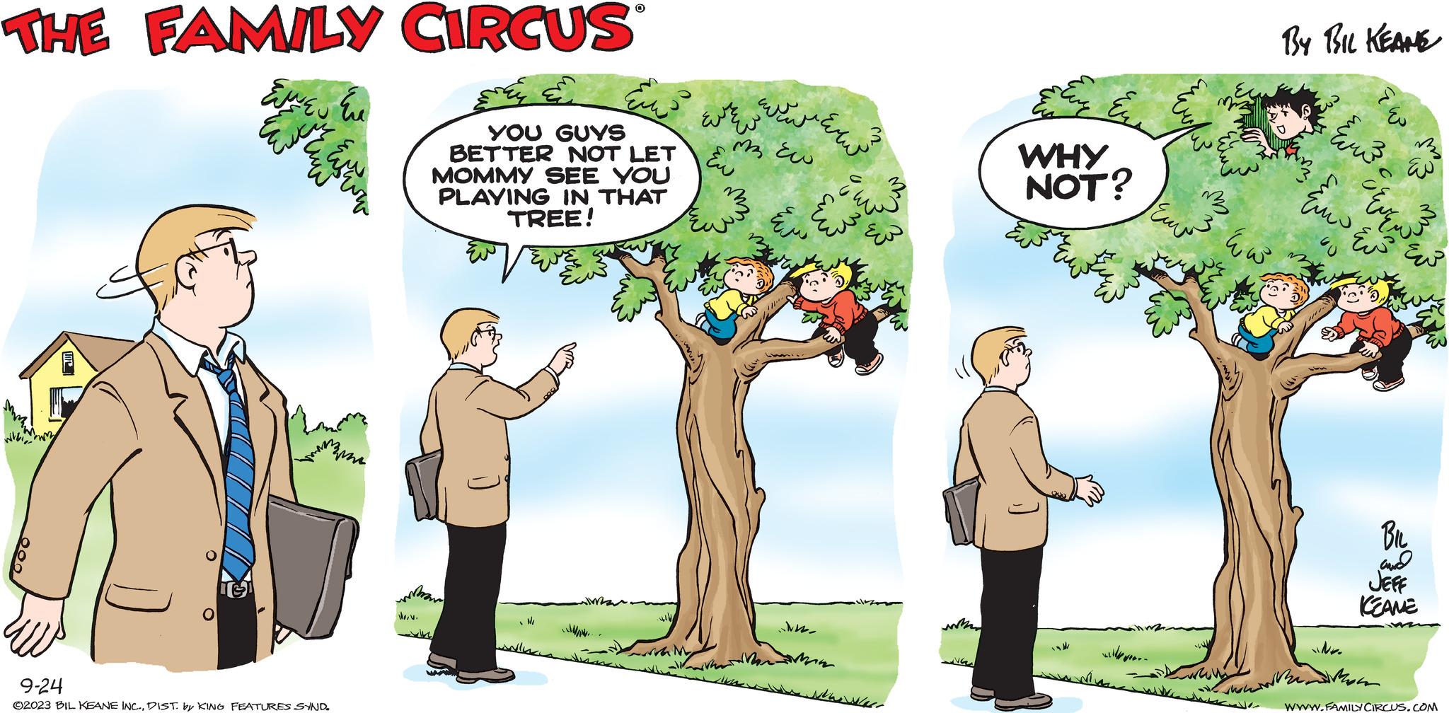 Tree OCR: 1 ?? ???? 9-24 ©2023 BIL KEANE INC.DIST. by KING FEATURES SYND. W ?? ???? amma ham ??? ??? ? YOU GUYS BETTER NOT LET MOMMY SEE YOU PLAYING IN THAT TREE! ????? W ?? ?? ??? M3 Ew ???? ?? ?? ??? NW- ???? ??? ?? WHY NOT? 3 ??? ????? ? ???? ?? 3 ?? ??? ??????? ??? ?? ??? Blu and JEFF KEANE WWW.FAMILYCIRCUS.COM 1 ?? ???? 9-24 © 2023 BIL KEANE INC .DIST . by KING FEATURES SYND . W ?? ???? amma ham ??? ??? ? YOU GUYS BETTER NOT LET MOMMY SEE YOU PLAYING IN THAT TREE ! ????? W ?? ?? ??? M3 Ew ???? ?? ?? ??? NW ???? ??? ?? WHY NOT ? 3 ??? ????? ? ???? ? ? 3 ?? ??? ??????? ??? ?? ??? Blu and JEFF KEANE WWW.FAMILYCIRCUS.COM