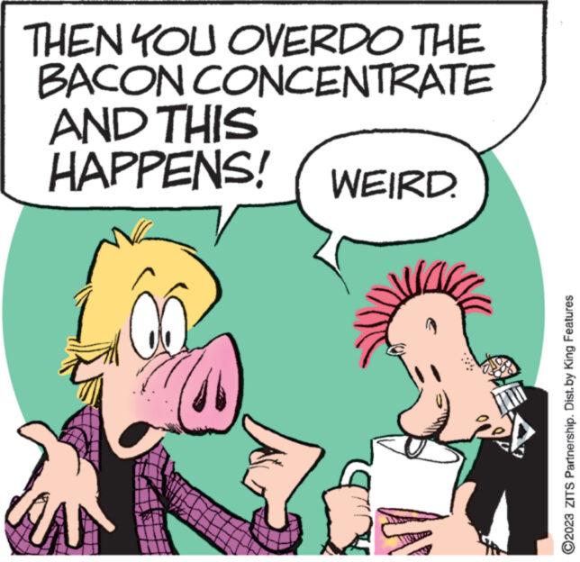 Zits - Part 2 - 2023-09-09