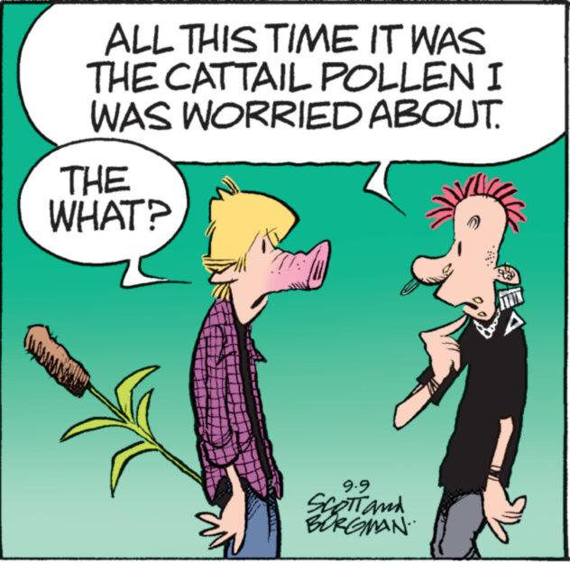 Line OCR: ALL THIS TIME IT WAS THE CATTAIL POLLEN I WAS WORRIED ABOUT. THE WHAT? *** 9.9 SCOTT and BORGMAN. ALL THIS TIME IT WAS THE CATTAIL POLLEN I WAS WORRIED ABOUT . THE WHAT ? *** 9.9 SCOTT and BORGMAN .