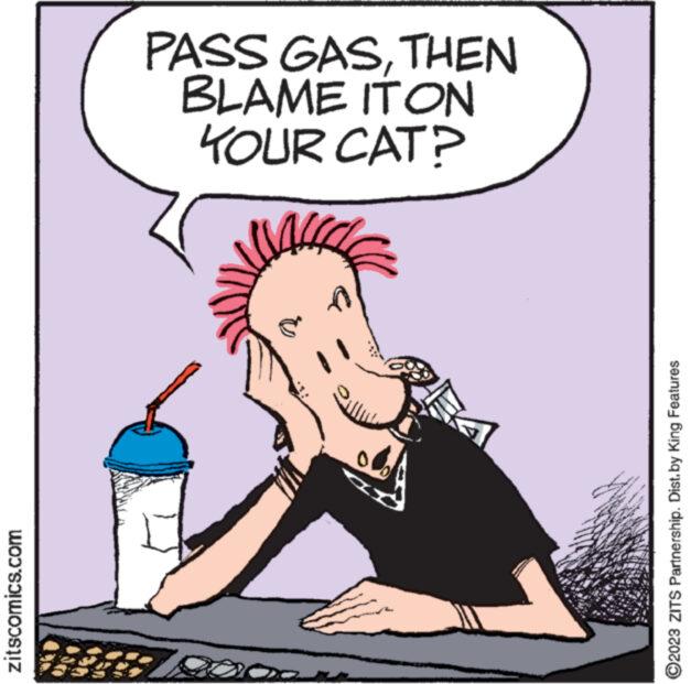 Sharing OCR: zitscomics.com PASS GASTHEN BLAME ITON YOUR CAT? VALLE and Sowm ?2023 ZITS Partnership. Dist. by King Features zitscomics.com PASS GASTHEN BLAME ITON YOUR CAT ? VALLE and Sowm ?2023 ZITS Partnership . Dist . by King Features