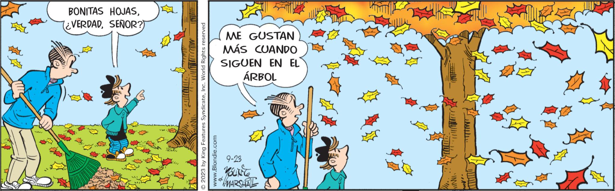 Happy OCR: BONITAS HOJASSEÑOR?) T © 2023 by King Features SyndicateInc. World Rights reserved www.Blondie.com ME GUSTAN MÁS CUANDO SIGUEN EN EL ÁRBOL 9-23 YOUNEE MARSHAL BONITAS HOJAS¿ VERDADSEÑOR ? ) T © 2023 by King Features SyndicateInc. World Rights reserved www.Blondie.com ME GUSTAN MÁS CUANDO SIGUEN EN EL ÁRBOL 9-23 YOUNEE MARSHAL