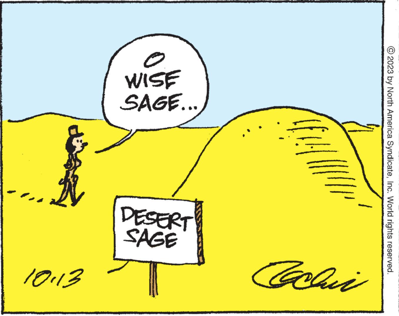 Parallel OCR: © 2023 by North America SyndicateInc. World rights reserved. WISE SAGE... DESERT SAGE Cachiri 10113 © 2023 by North America SyndicateInc. World rights reserved . WISE SAGE ... DESERT SAGE Cachiri 10113