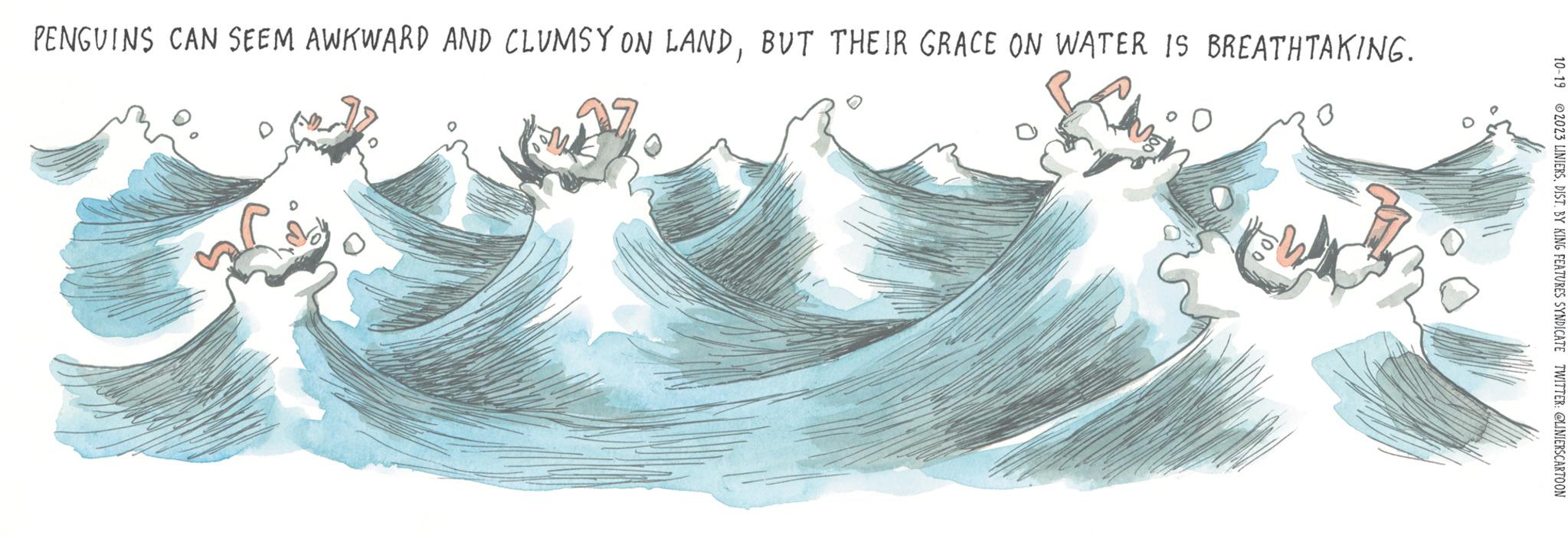 Wave OCR: PENGUINS CAN SEEM AWKWARD AND CLUMSY ON LANDBUT THEIR GRACE ON WATER IS BREATHTAKING. 10-19 2023 LINIERSDIST. BY KING FEATURES SYNDICATE TWITTER: @LINIERSCARTOON PENGUINS CAN SEEM AWKWARD AND CLUMSY ON LANDBUT THEIR GRACE ON WATER IS BREATHTAKING . 10-19 2023 LINIERSDIST . BY KING FEATURES SYNDICATE TWITTER : @LINIERSCARTOON