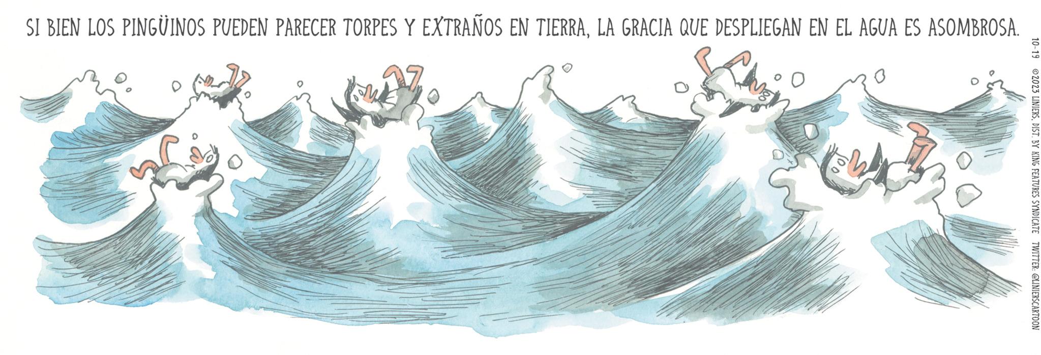 Wave OCR: SI BIEN LOS PINGÜINOS PUEDEN PARECER TORPES Y EXTRAÑOS EN TIERRALA GRACIA QUE DESPLIEGAN EN EL AGUA ES ASOMBROSA. 10-19 2023 LINIERSDIST. BY KING FEATURES SYNDICATE TWITTER: @LINIERSCARTOON SI BIEN LOS PINGÜINOS PUEDEN PARECER TORPES Y EXTRAÑOS EN TIERRALA GRACIA QUE DESPLIEGAN EN EL AGUA ES ASOMBROSA . 10-19 2023 LINIERSDIST . BY KING FEATURES SYNDICATE TWITTER : @LINIERSCARTOON