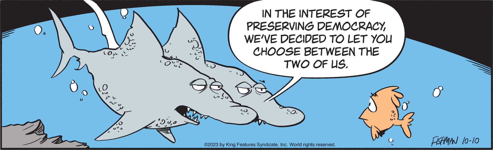 Happy OCR: LO. 10 "D%20 IN THE INTEREST OF PRESERVING DEMOCRACYWE'VE DECIDED TO LET YOU CHOOSE BETWEEN THE TWO OF US. ©2023 by King Features SyndicateInc. World rights reserved. FISHMAN 10-10 LO . 10 " D % 20 IN THE INTEREST OF PRESERVING DEMOCRACYWE'VE DECIDED TO LET YOU CHOOSE BETWEEN THE TWO OF US . © 2023 by King Features SyndicateInc. World rights reserved . FISHMAN 10-10