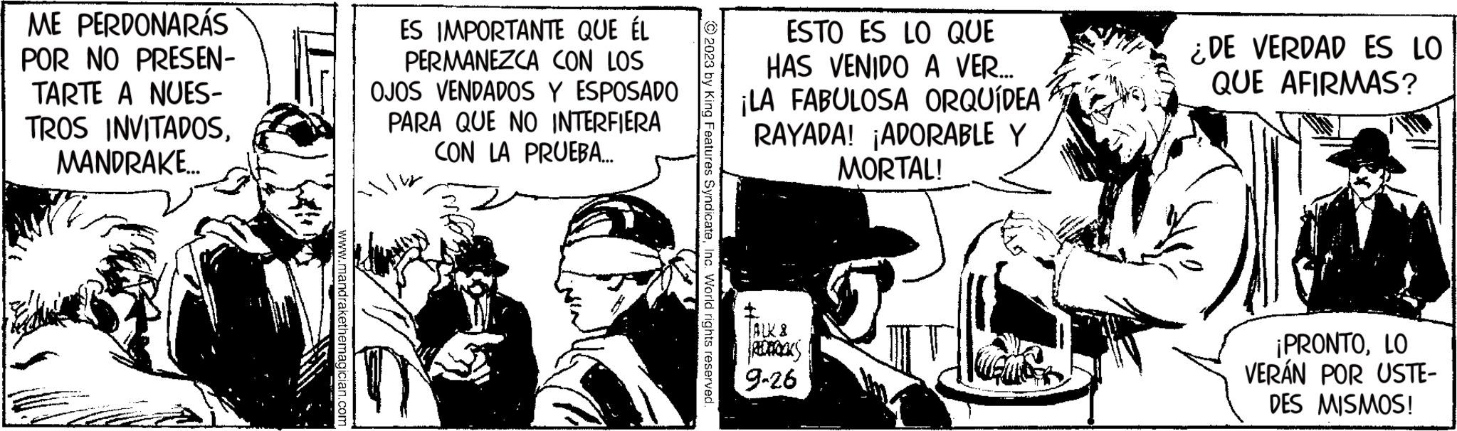 Comics OCR: ME PERDONARÁS POR NO PRESEN- TARTE A NUES- TROS INVITADOSMANDRAKE... www.mandrakethemagician.com ES IMPORTANTE QUE ÉL PERMANEZCA CON LOS OJOS VENDADOS Y ESPOSADO PARA QUE NO INTERFIERA CON LA PRUEBA... ?????? 2023 by King Features SyndicateInc. World rights reserved. ESTO ES LO QUE HAS VENIDO A VER.... ¡LA FABULOSA ORQUÍDEA RAYADA! ADORABLE Y MORTAL! TALK & REDBOOKS 9-26 ¿DE VERDAD ES LO QUE AFIRMAS? ¡PRONTOLO VERÁN POR USTE- DES MISMOS! ME PERDONARÁS POR NO PRESEN TARTE A NUES TROS INVITADOSMANDRAKE ... www.mandrakethemagician.com ES IMPORTANTE QUE ÉL PERMANEZCA CON LOS OJOS VENDADOS Y ESPOSADO PARA QUE NO INTERFIERA CON LA PRUEBA ... ???? ?? 2023 by King Features SyndicateInc. World rights reserved . ESTO ES LO QUE HAS VENIDO A VER .... ¡ LA FABULOSA ORQUÍDEA RAYADA ! ADORABLE Y MORTAL ! TALK & REDBOOKS 9-26 ¿ DE VERDAD ES LO QUE AFIRMAS ? ¡ PRONTOLO VERÁN POR USTE DES MISMOS !