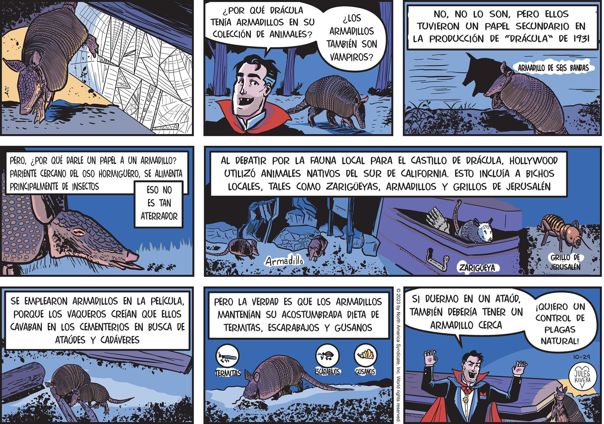 Comic book OCR: PERO¿POR QUÉ DARLE UN PAPEL A UN ARMADILLO? PARIENTE CERCANO DEL OSO HORMIGUEROSE ALIMENTA PRINCIPALMENTE DE INSECTOS ESO NO ES TAN ATERRADOR SE EMPLEARON ARMADILLOS EN LA PELÍCULAPORQUE LOS VAQUEROS CREÍAN QUE ELLOS CAVABAN EN LOS CEMENTERIOS EN BUSCA DE ATAÚDES Y CADÁVERES ¿POR QUÉ DRÁCULA TENÍA ARMADILLOS EN SU COLECCIÓN DE ANIMALES? Talous TERMITAS ¿LOS ARMADILLOS TAMBIÉN SON VAMPIROS? AL DEBATIR POR LA FAUNA LOCAL PARA EL CASTILLO DE DRÁCULAHOLLYWOOD UTILIZÓ ANIMALES NATIVOS DEL SUR DE CALIFORNIA. ESTO INCLUÍA A BICHOS LOCALESARMADILLOS Y GRILLOS DE JERUSALÉN Armadillo PERO LA VERDAD ES QUE LOS ARMADILLOS MANTENÍAN SU ACOSTUMBRADA DIETA DE TERMITASESCARABAJOS Y GUSANOS H- ESCARABAJOS GUSANOS NOPERO ELLOS TUVIERON UN PAPEL SECUNDARIO EN LA PRODUCCIÓN DE "DRÁCULA" DE 1931 © 2023 by North America SyndicateInc. World rights reserved ZARIGUEYA PROP ARMADILLO DE SEIS BANDAS SI DUERMO EN UN ATAÚDTAMBIÉN DEBERÍA TENER UN ARMADILLO CERCA U GRILLO DE JERUSALÉN ¡QUIERO UN CONTROL DE PLAGAS NATURAL! 10-29 JULES RIVERA HSD PERO¿ POR QUÉ DARLE UN PAPEL A UN ARMADILLO ? PARIENTE CERCANO DEL OSO HORMIGUEROSE ALIMENTA PRINCIPALMENTE DE INSECTOS ESO NO ES TAN ATERRADOR SE EMPLEARON ARMADILLOS EN LA PELÍCULAPORQUE LOS VAQUEROS CREÍAN QUE ELLOS CAVABAN EN LOS CEMENTERIOS EN BUSCA DE ATAÚDES Y CADÁVERES ¿ POR QUÉ DRÁCULA TENÍA ARMADILLOS EN SU COLECCIÓN DE ANIMALES ? Talous TERMITAS ¿ LOS ARMADILLOS TAMBIÉN SON VAMPIROS ? AL DEBATIR POR LA FAUNA LOCAL PARA EL CASTILLO DE DRÁCULAHOLLYWOOD UTILIZÓ ANIMALES NATIVOS DEL SUR DE CALIFORNIA . ESTO INCLUÍA A BICHOS LOCALESTALES COMO ZARIGÜEYASARMADILLOS Y GRILLOS DE JERUSALÉN Armadillo PERO LA VERDAD ES QUE LOS ARMADILLOS MANTENÍAN SU ACOSTUMBRADA DIETA DE TERMITASESCARABAJOS Y GUSANOS H ESCARABAJOS GUSANOS NONO LO SONPERO ELLOS TUVIERON UN PAPEL SECUNDARIO EN LA PRODUCCIÓN DE " DRÁCULA " DE 1931 © 2023 by North America SyndicateInc. World rights reserved ZARIGUEYA PROP ARMADILLO DE SEIS BANDAS SI DUERMO EN UN ATAÚDTAMBIÉN DEBERÍA TENER UN ARMADILLO CERCA U GRILLO DE JERUSALÉN ¡ QUIERO UN CONTROL DE PLAGAS NATURAL ! 10-29 JULES RIVERA HSD