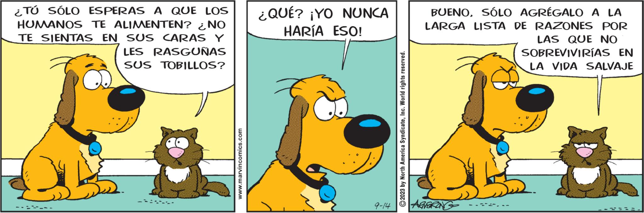 Happy OCR: ¿TÚ SÓLO ESPERAS A QUE LOS HUMANOS TE ALIMENTEN? ¿NO TE SIENTAS EN SUS CARAS Y LES RASGUÑAS SUS TOBILLOS? www.marvincomics.com ¿QUÉ? ¡YO NUNCA HARÍA ESO! 9-14 ?2023 by North America SyndicateInc. World rights reserved. BUENOSÓLO AGRÉGALO A LA LARGA LISTA DE RAZONES POR LAS QUE NO SOBREVIVIRÍAS EN LA VIDA SALVAJE ¿ TÚ SÓLO ESPERAS A QUE LOS HUMANOS TE ALIMENTEN ? ¿ NO TE SIENTAS EN SUS CARAS Y LES RASGUÑAS SUS TOBILLOS ? www.marvincomics.com ¿ QUÉ ? ¡ YO NUNCA HARÍA ESO ! 9-14 ?2023 by North America SyndicateInc. World rights reserved . BUENOSÓLO AGRÉGALO A LA LARGA LISTA DE RAZONES POR LAS QUE NO SOBREVIVIRÍAS EN LA VIDA SALVAJE