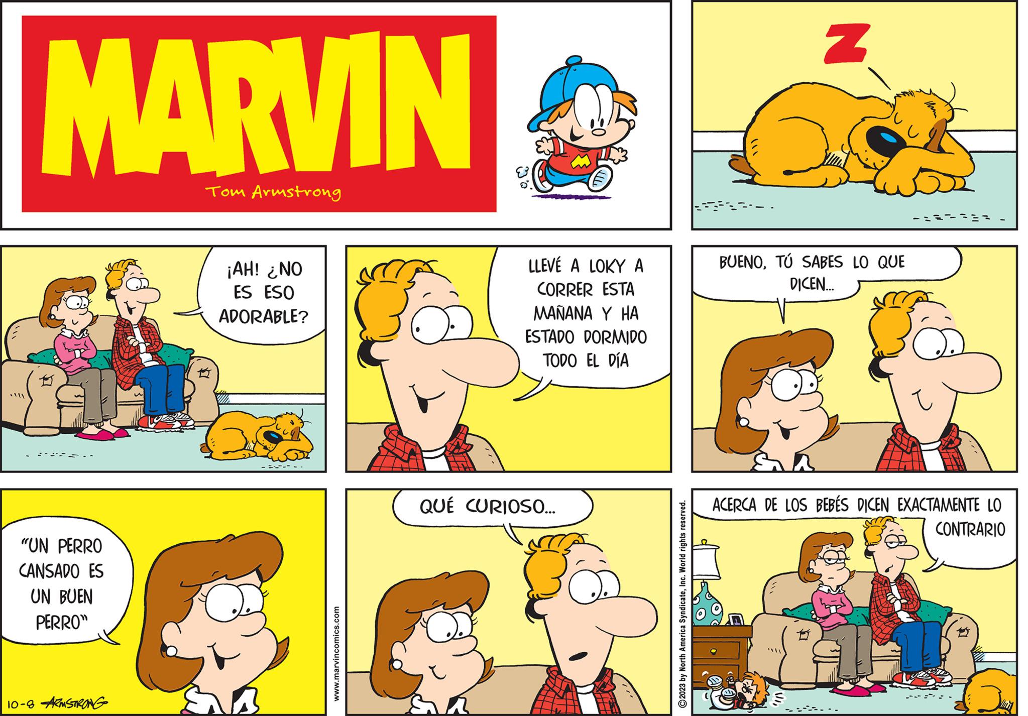 Yellow OCR: • !!! MARVIN Tom Armstrong "UN PERRO CANSADO ES UN BUEN PERRO" 10-8 ARMSTRONG ¡AH! ¿NO ES ESO ADORABLE? www.marvincomics.com LLEVE A LOKY A CORRER ESTA MAÑANA Y HA ESTADO DORMIDO TODO EL DÍA QUÉ CURIOSO... 2023 by North America SyndicateInc. World rights reserved. Z BUENOTÚ SABES LO QUE DICEN... ==== ha ACERCA DE LOS BEBÉS DICEN EXACTAMENTE LO CONTRARIO 11 • !!! MARVIN Tom Armstrong " UN PERRO CANSADO ES UN BUEN PERRO " 10-8 ARMSTRONG ¡ AH ! ¿ NO ES ESO ADORABLE ? www.marvincomics.com LLEVE A LOKY A CORRER ESTA MAÑANA Y HA ESTADO DORMIDO TODO EL DÍA QUÉ CURIOSO ... 2023 by North America SyndicateInc. World rights reserved . Z BUENOTÚ SABES LO QUE DICEN ... ==== ha ACERCA DE LOS BEBÉS DICEN EXACTAMENTE LO CONTRARIO 11