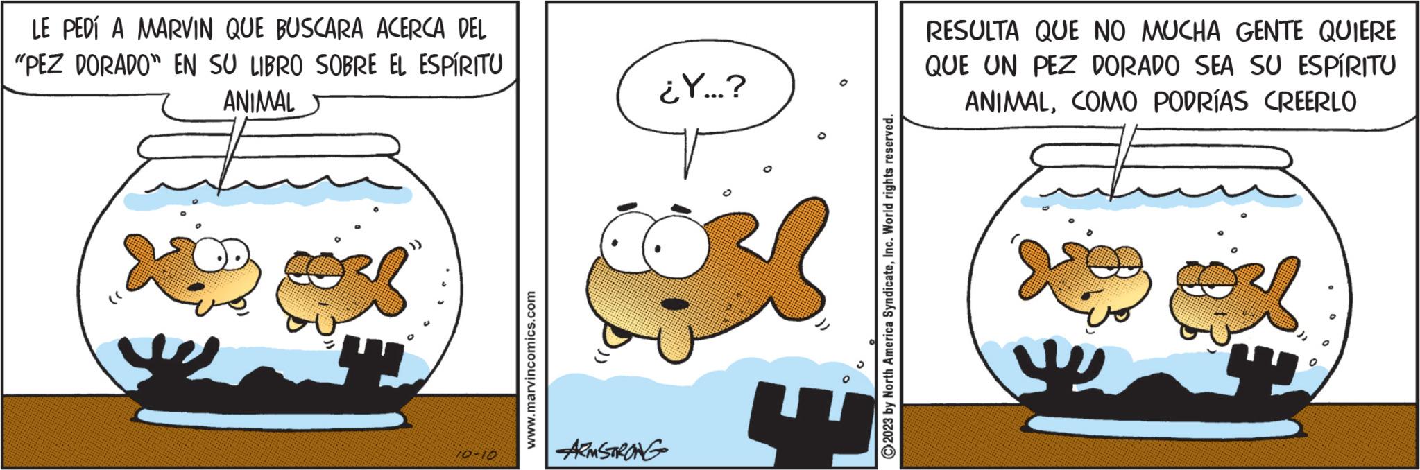 Rectangle OCR: LE PEDÍ A MARVIN QUE BUSCARA ACERCA DEL "PEZ DORADO" EN SU LIBRO SOBRE EL ESPÍRITU ANIMAL (( 10-10 www.marvincomics.com ¿Y...? ARMSTRONG 3 2023 by North America SyndicateInc. World rights reserved. RESULTA QUE NO MUCHA GENTE QUIERE QUE UN PEZ DORADO SEA SU ESPÍRITU ANIMALCOMO PODRÍAS CREERLO 81 LE PEDÍ A MARVIN QUE BUSCARA ACERCA DEL " PEZ DORADO " EN SU LIBRO SOBRE EL ESPÍRITU ANIMAL ( ( 10-10 www.marvincomics.com ¿ Y ... ? ARMSTRONG 3 2023 by North America SyndicateInc. World rights reserved . RESULTA QUE NO MUCHA GENTE QUIERE QUE UN PEZ DORADO SEA SU ESPÍRITU ANIMALCOMO PODRÍAS CREERLO 81