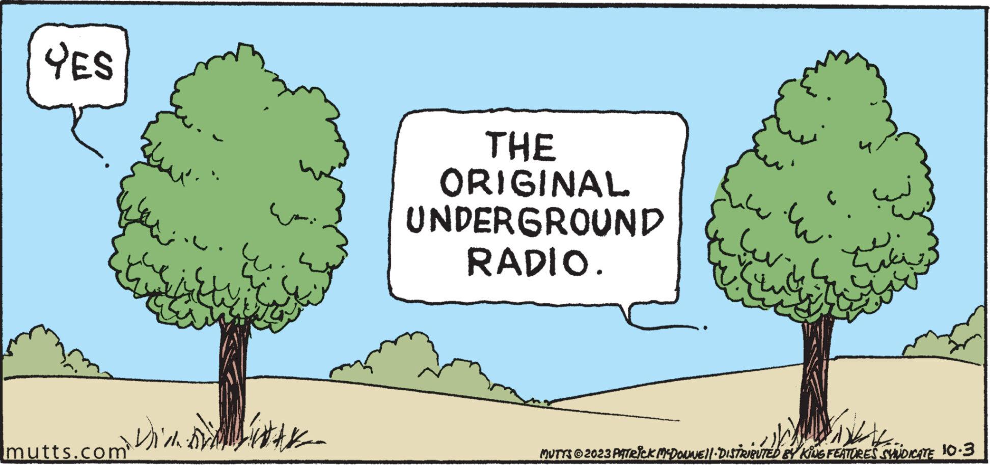 Adaptation OCR: YES mutts.com Dich THE ORIGINAL UNDERGROUND RADIO. ????? C ww. ?? ???? MUTTS © 2023 PATRICK MCDONNE||· DISTRIBUTED BY KING FEATURES SVUDICATE 10.3 YES mutts.com Dich THE ORIGINAL UNDERGROUND RADIO . ????? C ww . ?? ???? MUTTS © 2023 PATRICK MCDONNE || · DISTRIBUTED BY KING FEATURES SVUDICATE 10.3