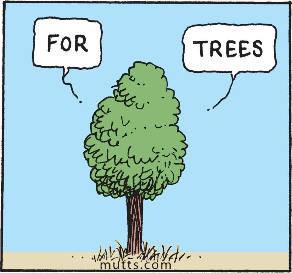 Parallel OCR: FOR ??? My SALVA mutts.com TREES FOR ??? My SALVA mutts.com TREES