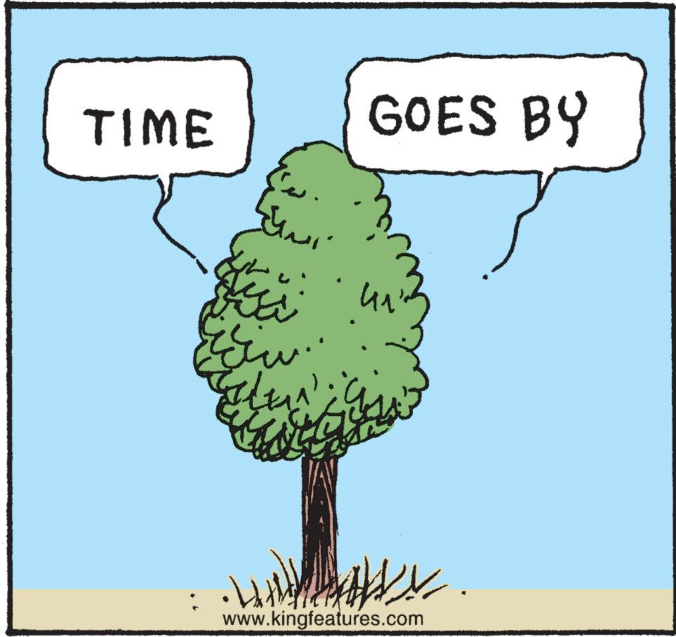 Vegetable OCR: TIME ????? Ein CALEN CONT •H GOES BY ?? www.kingfeatures.com TIME ????? Ein CALEN CONT • H GOES BY ?? www.kingfeatures.com