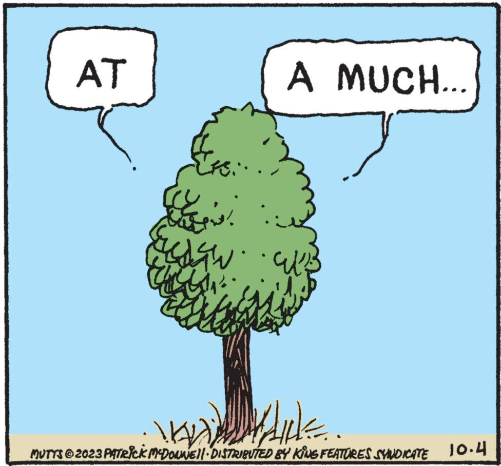 Root OCR: AT ? ????? ???? dow A MUCH... VEDLIKE MUTTS © 2023 PATRICK MCDONNEll-DISTRIBUTED BY KING FEATURES SYNDICATE 10.4 AT ? ????? ???? dow A MUCH ... VEDLIKE MUTTS © 2023 PATRICK MCDONNEll - DISTRIBUTED BY KING FEATURES SYNDICATE 10.4