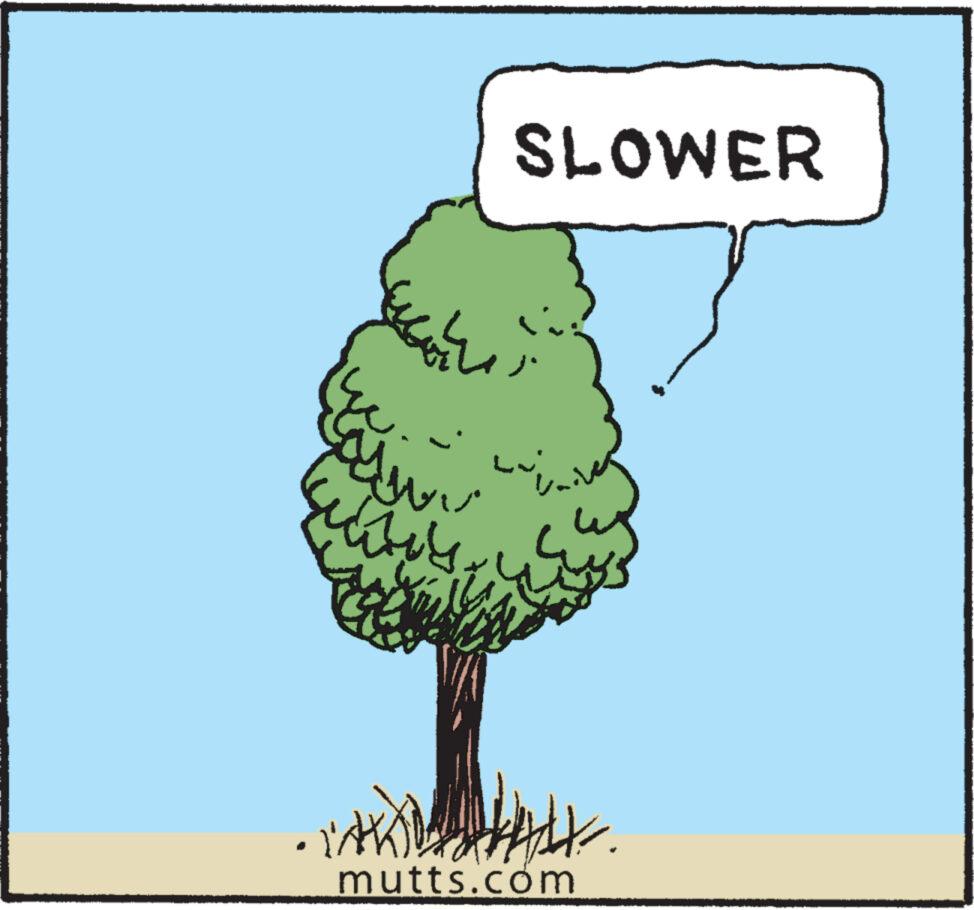 Herb OCR: ? inte ????? This SLOWER mutts.com ? inte ????? This SLOWER mutts.com